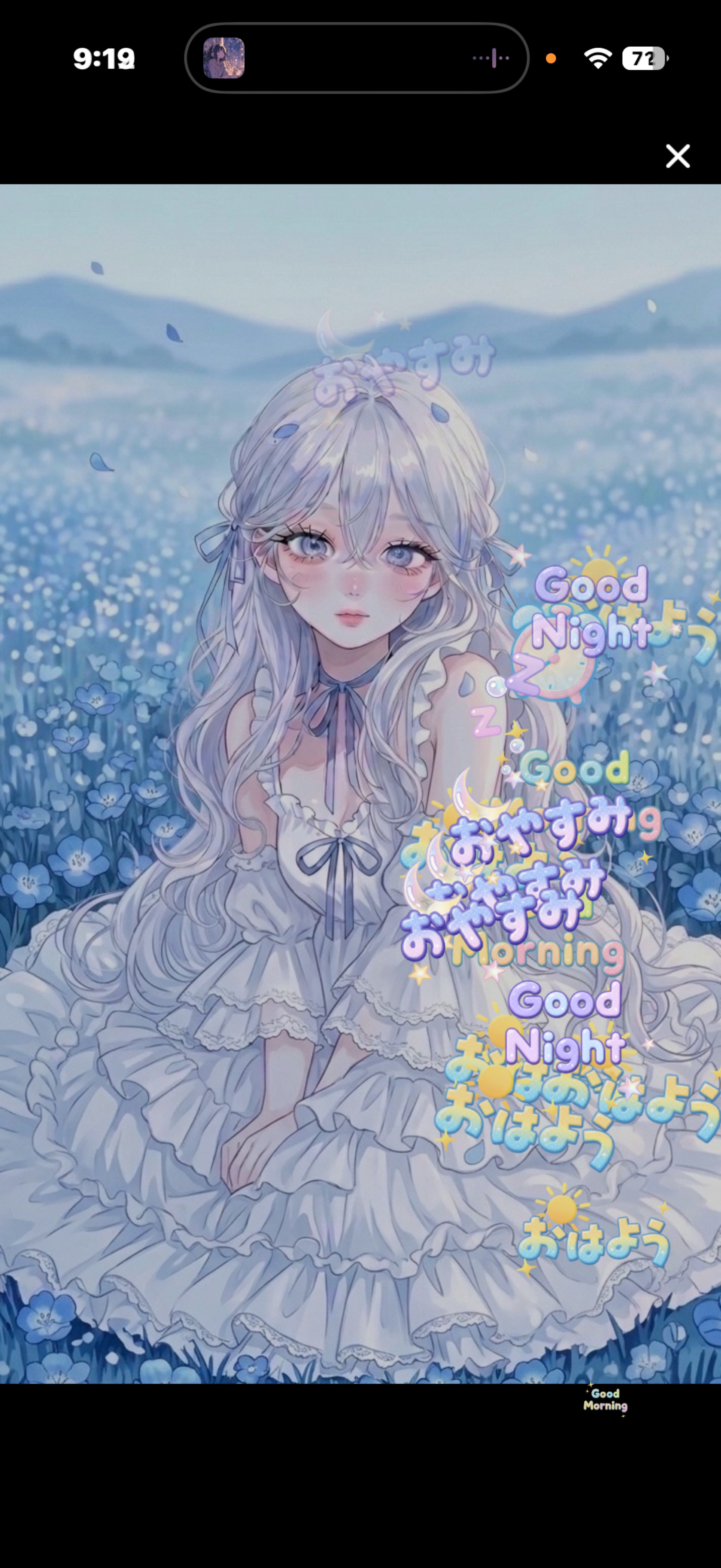 初 〇 君 の 癒 し𓂃🫧‪