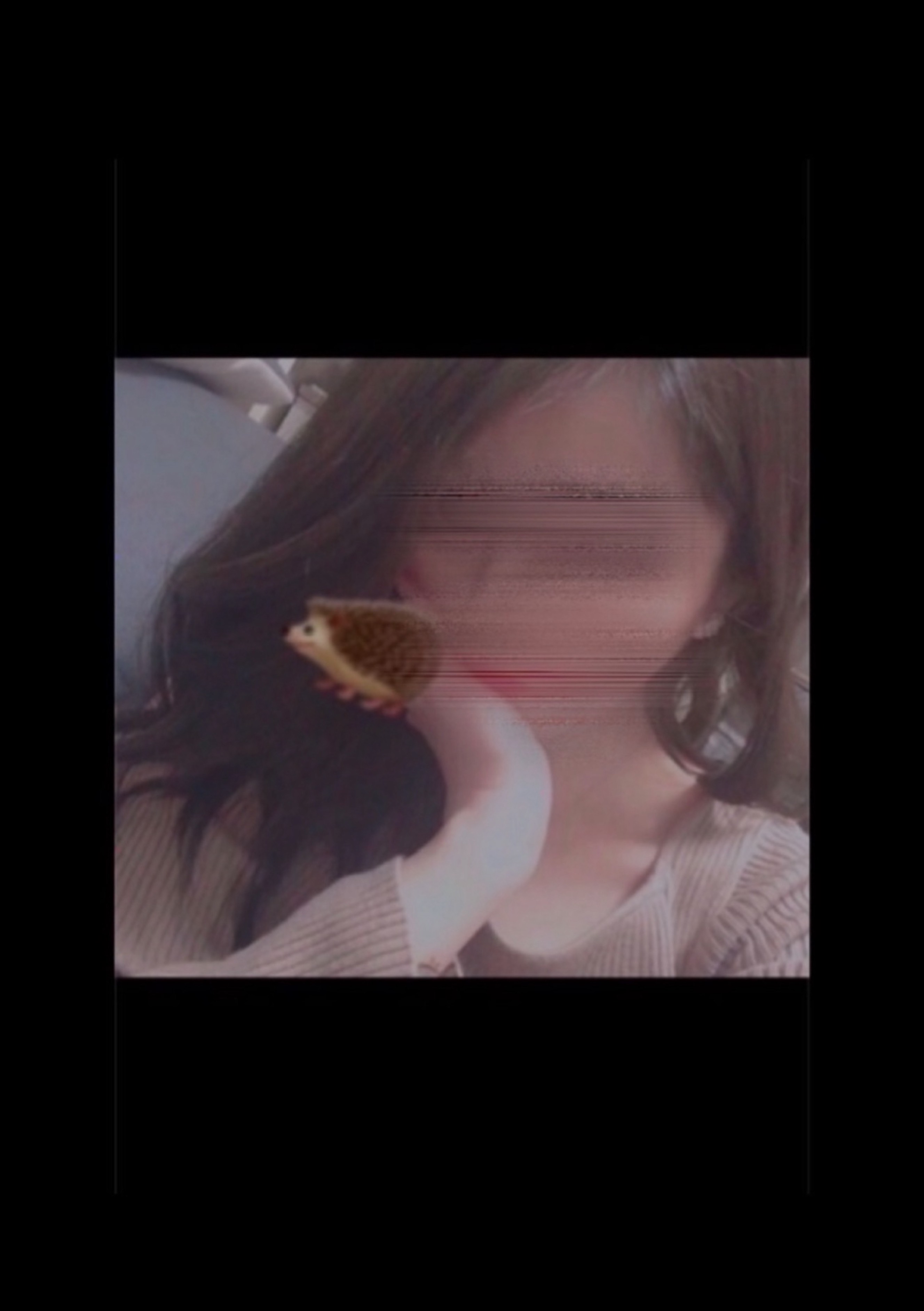 こっちおーいで
