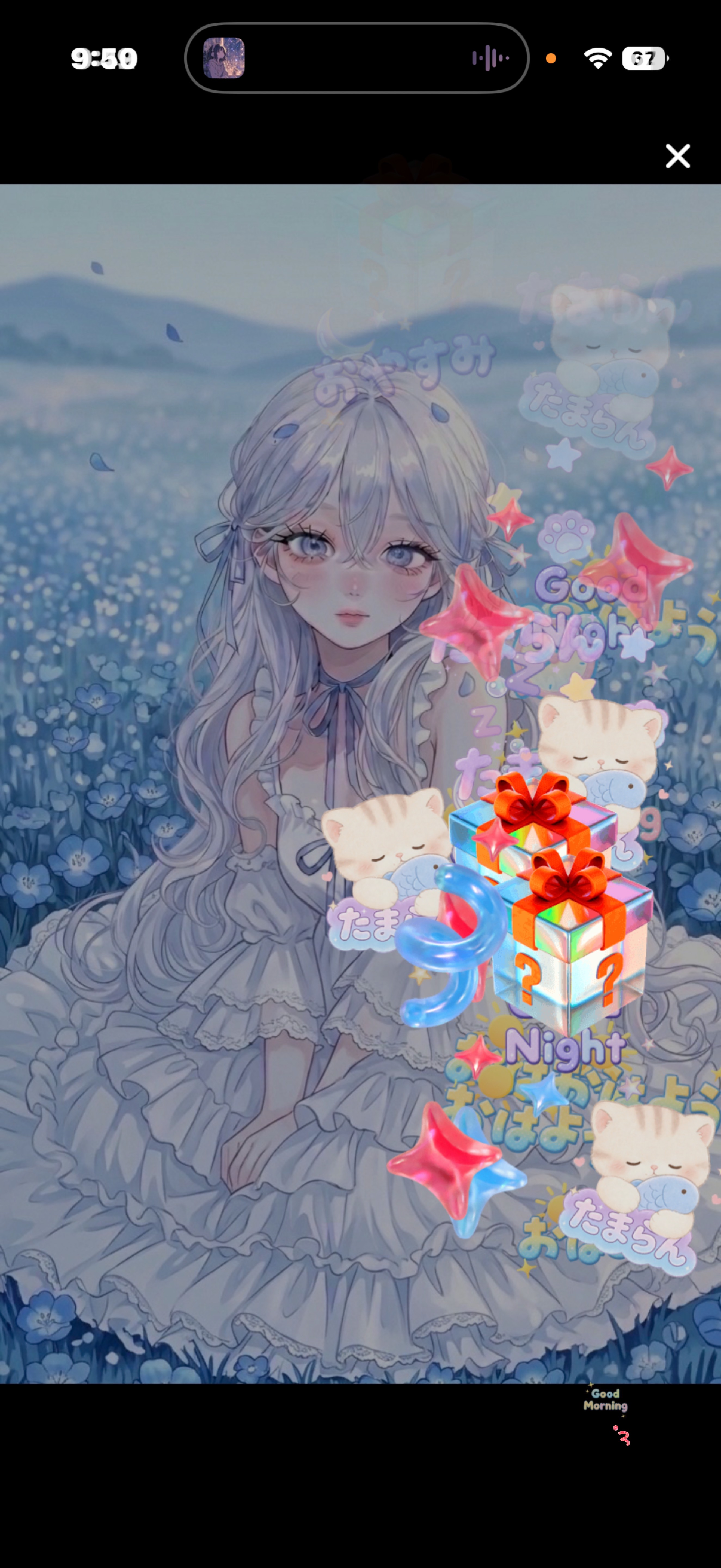 初 〇 君 の 癒 し𓂃🫧‪