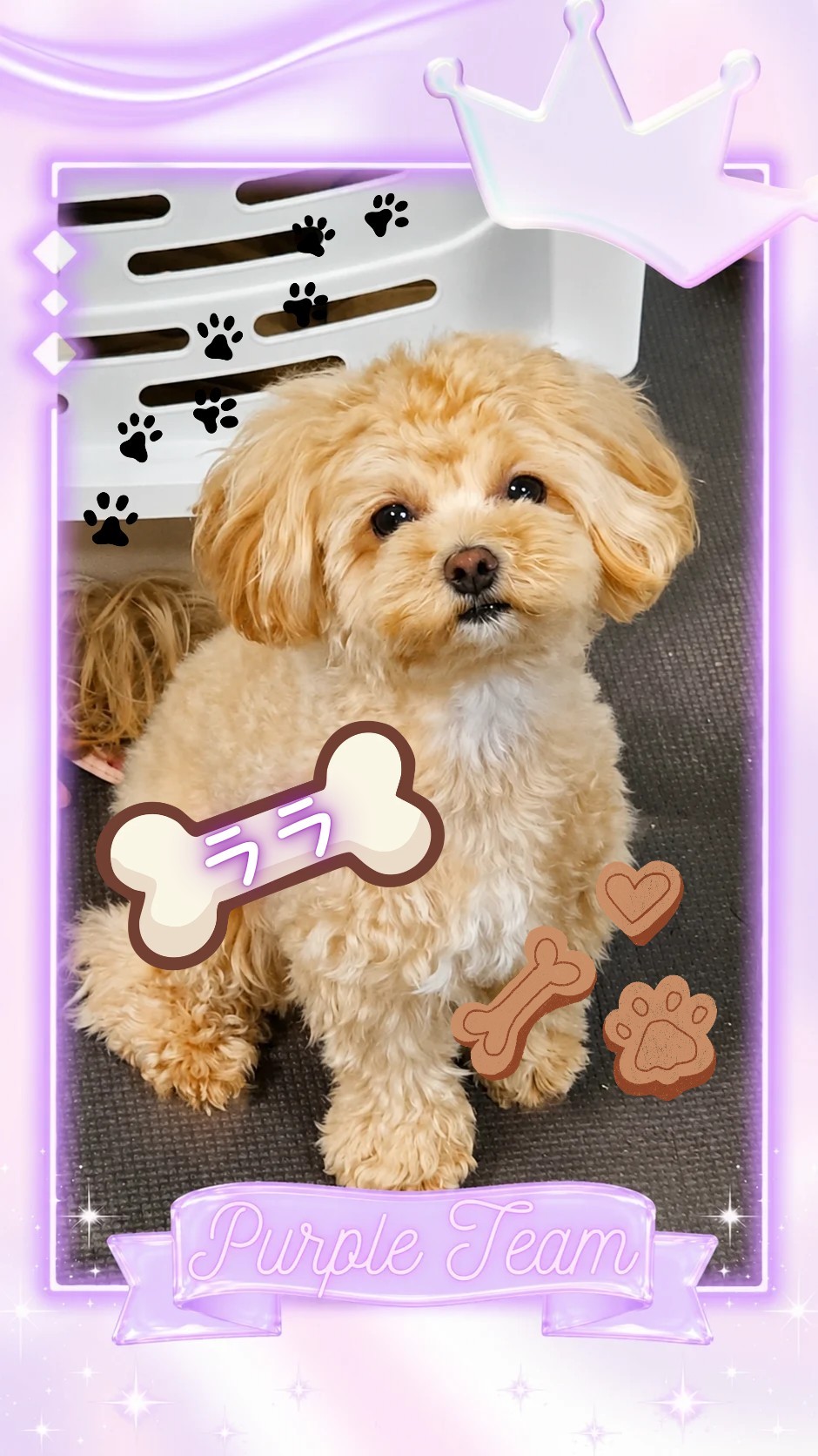 💜‪大歓迎 寝起きです
