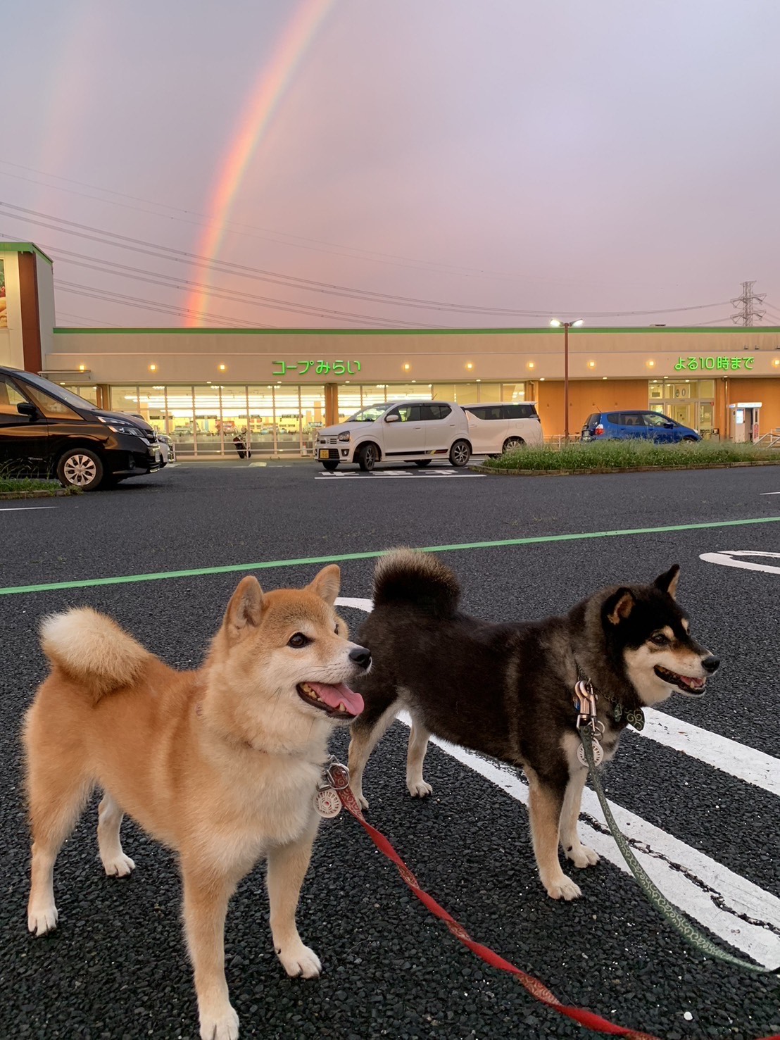 ひっそり
