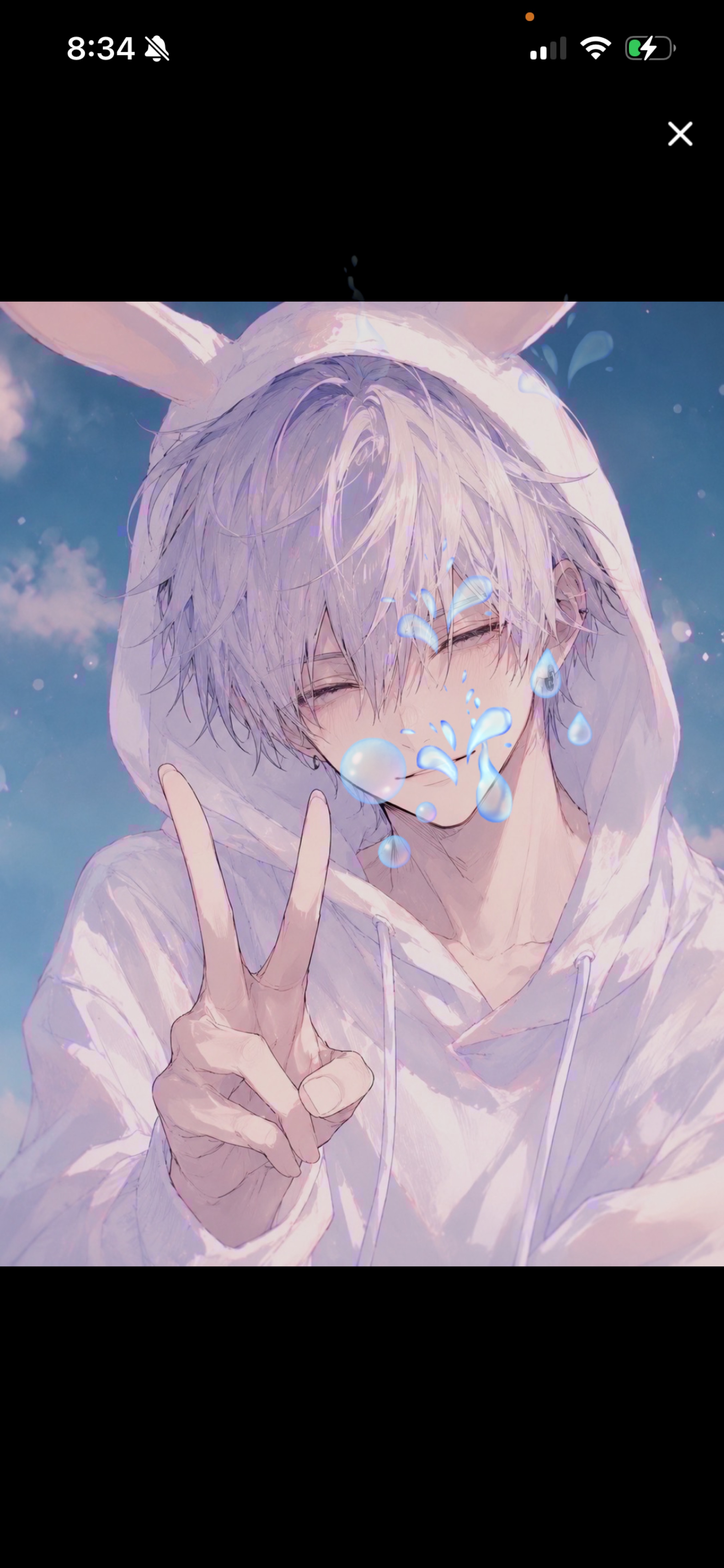 おはようさぎ☀️