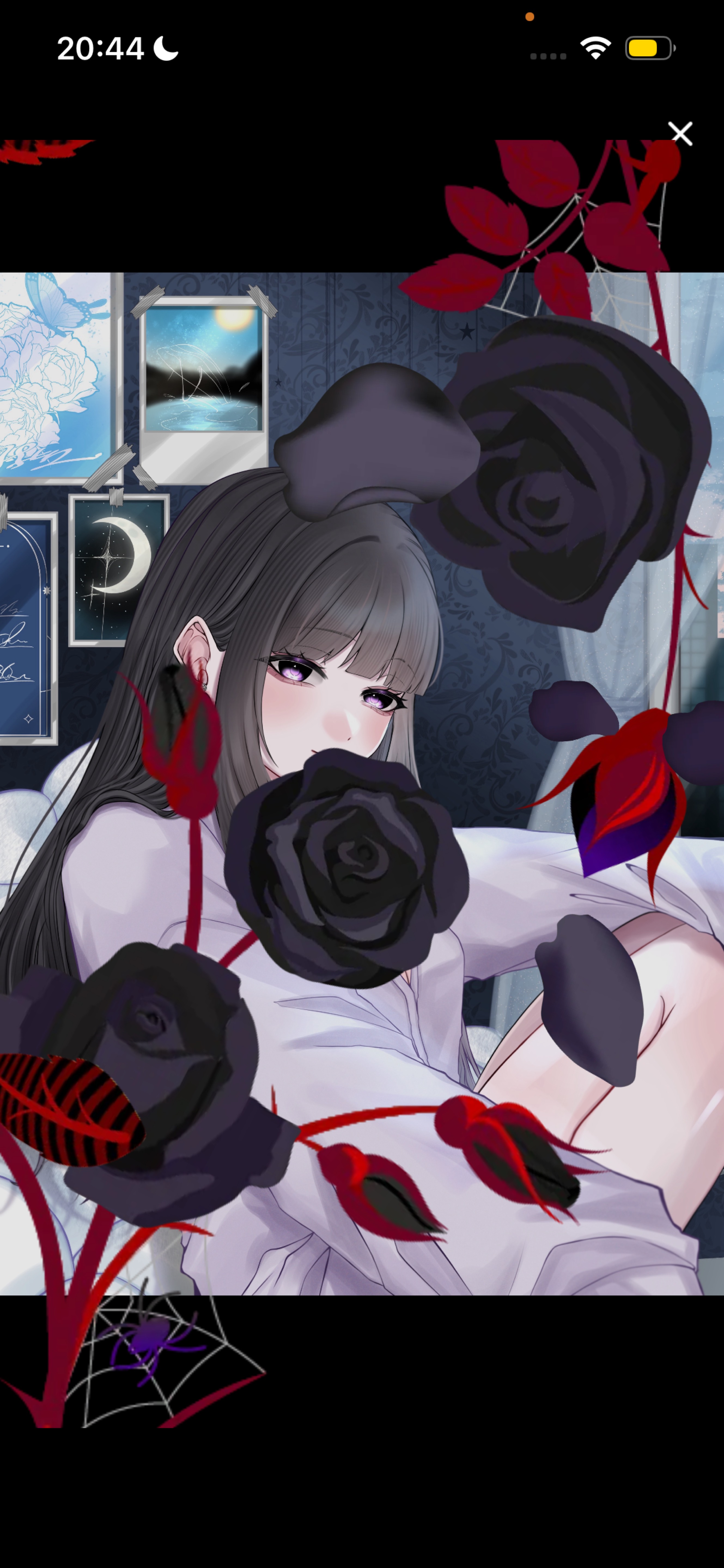 新背景でまったりと𓂃 𓈒𓏸◌