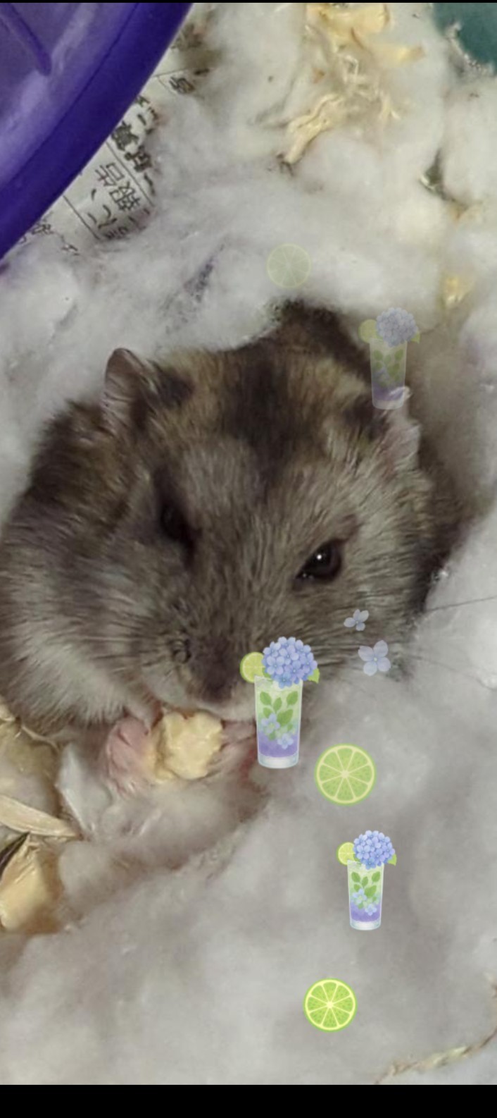 ちょびっと休憩( ^-^)_旦”