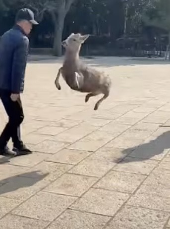 ⎯⎯⎯​ここは💋。