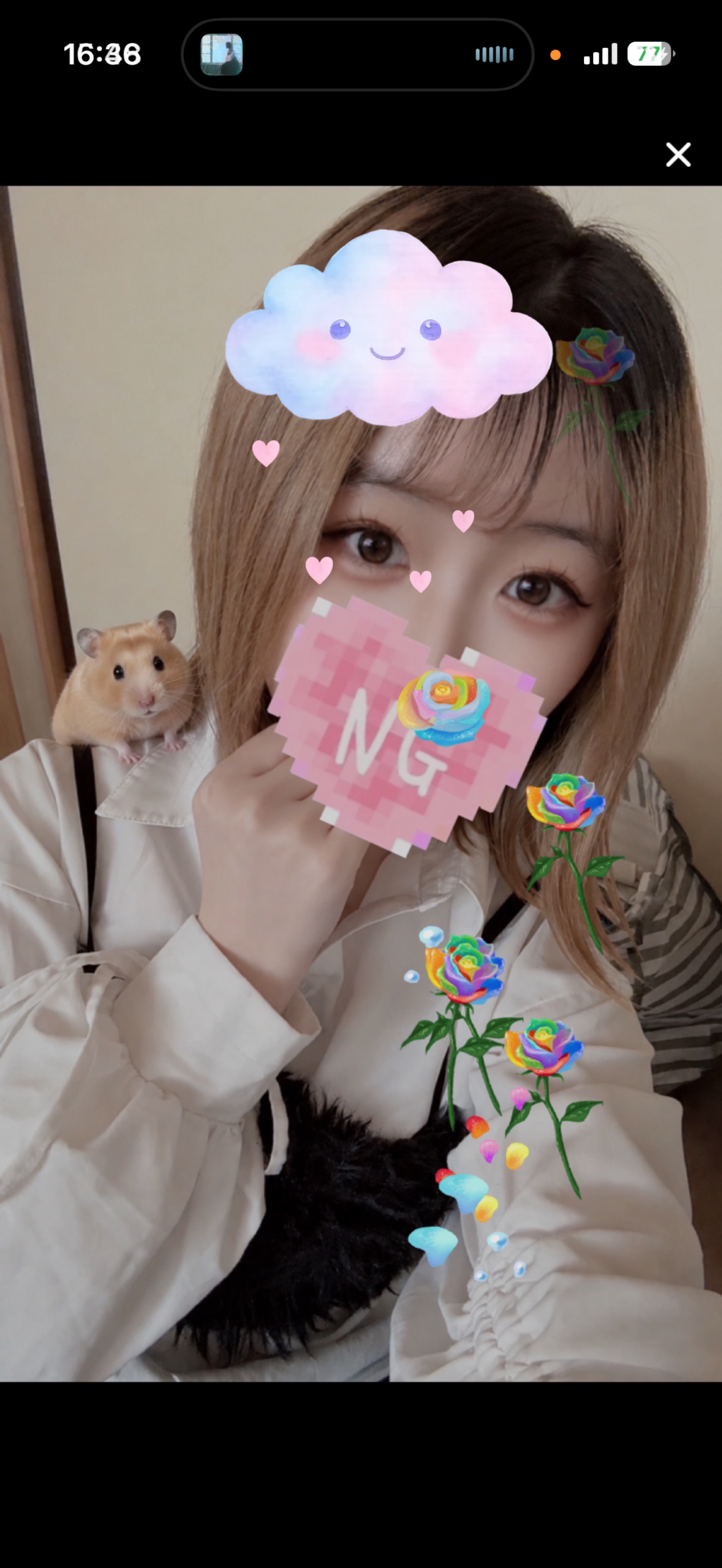 来て~🦢