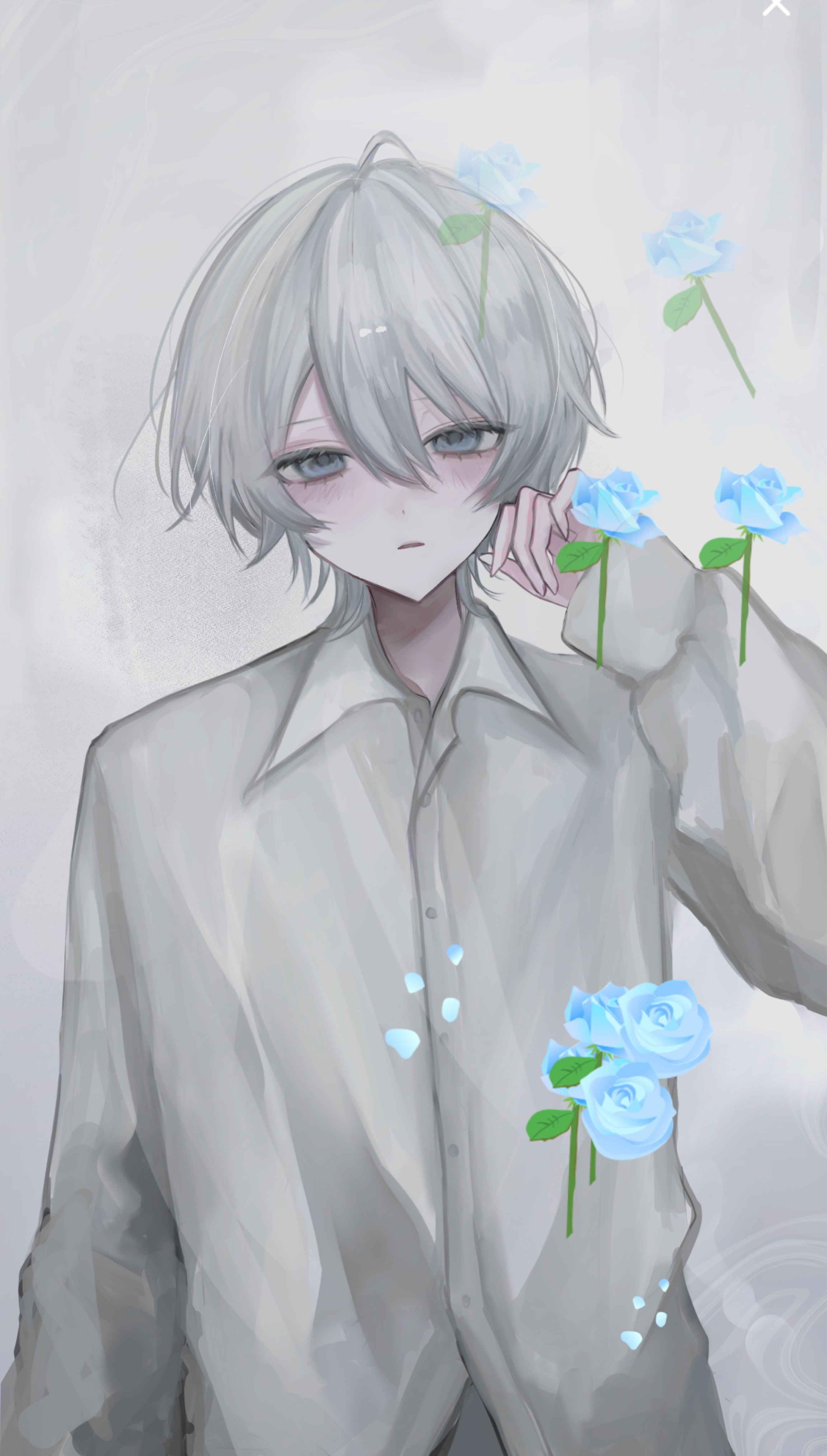 わくします。