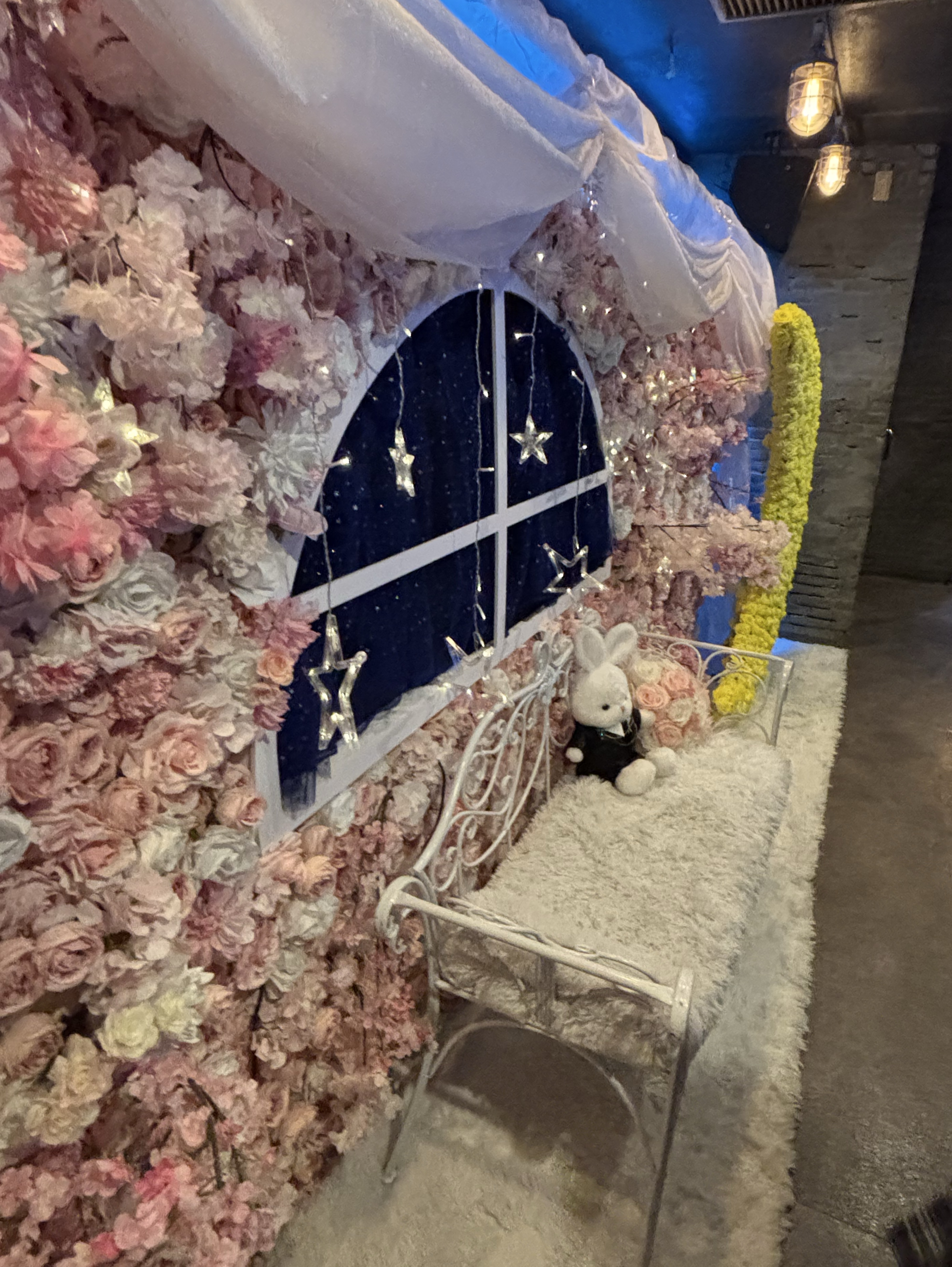 来れたらラッキー15分枠🍀