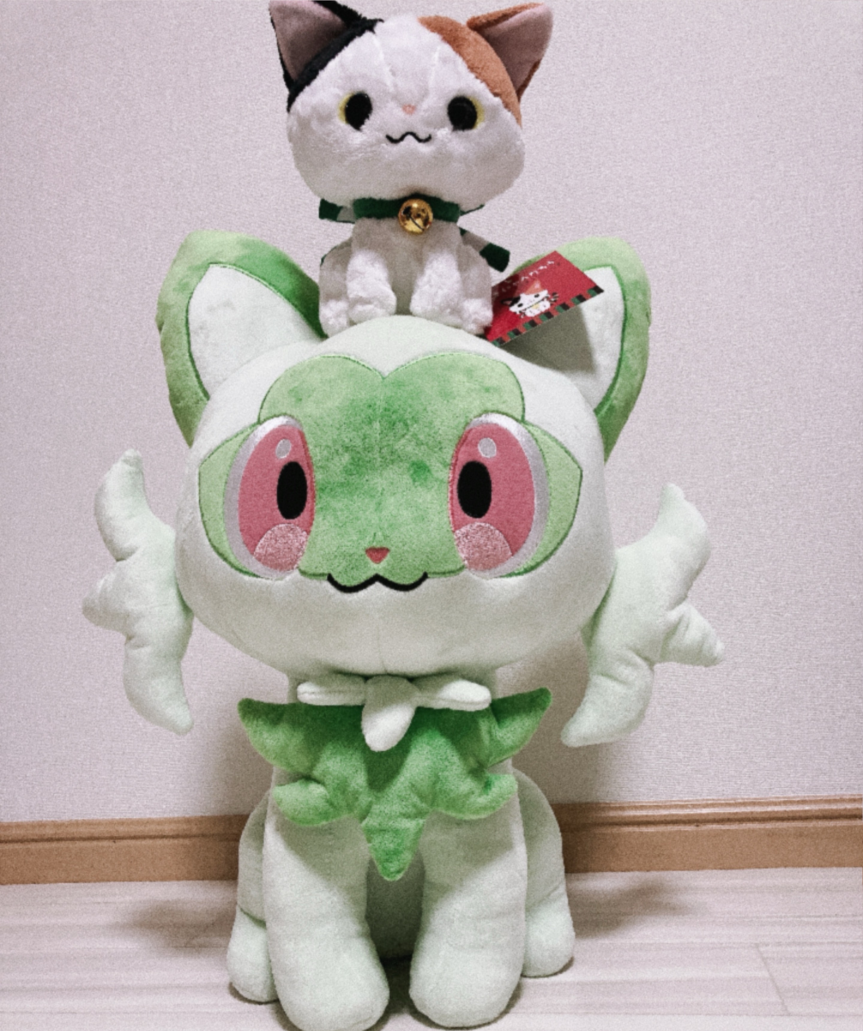 初◎  話しましょ