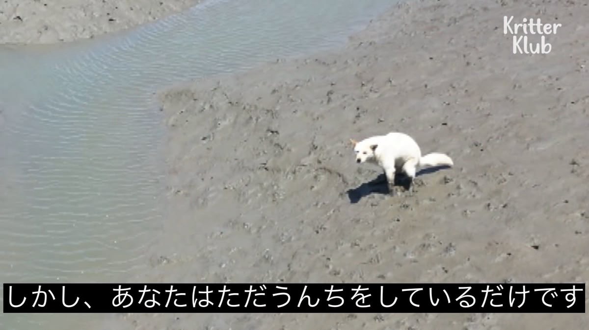 話します