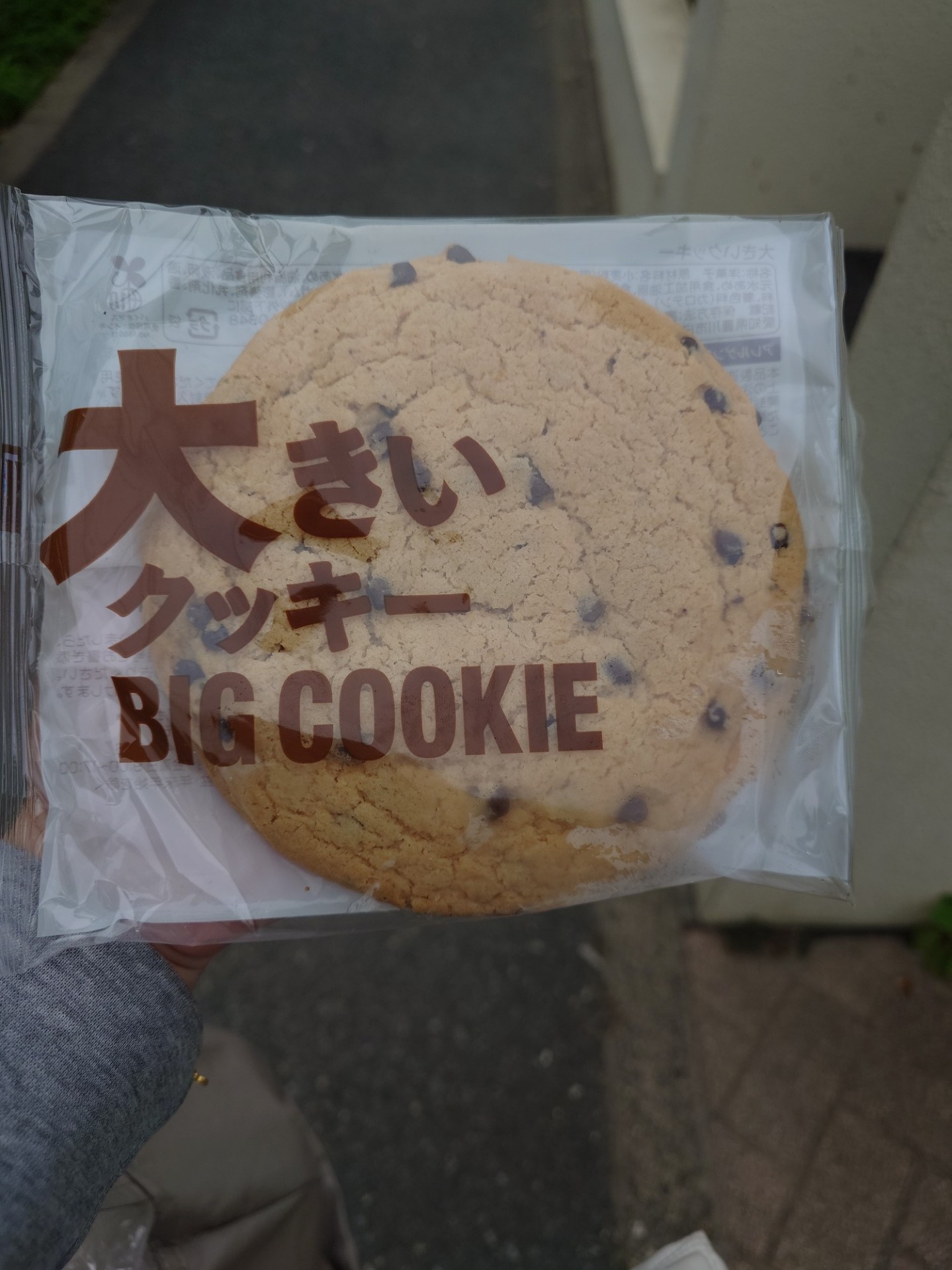 だらだら〜_(:3」∠)_