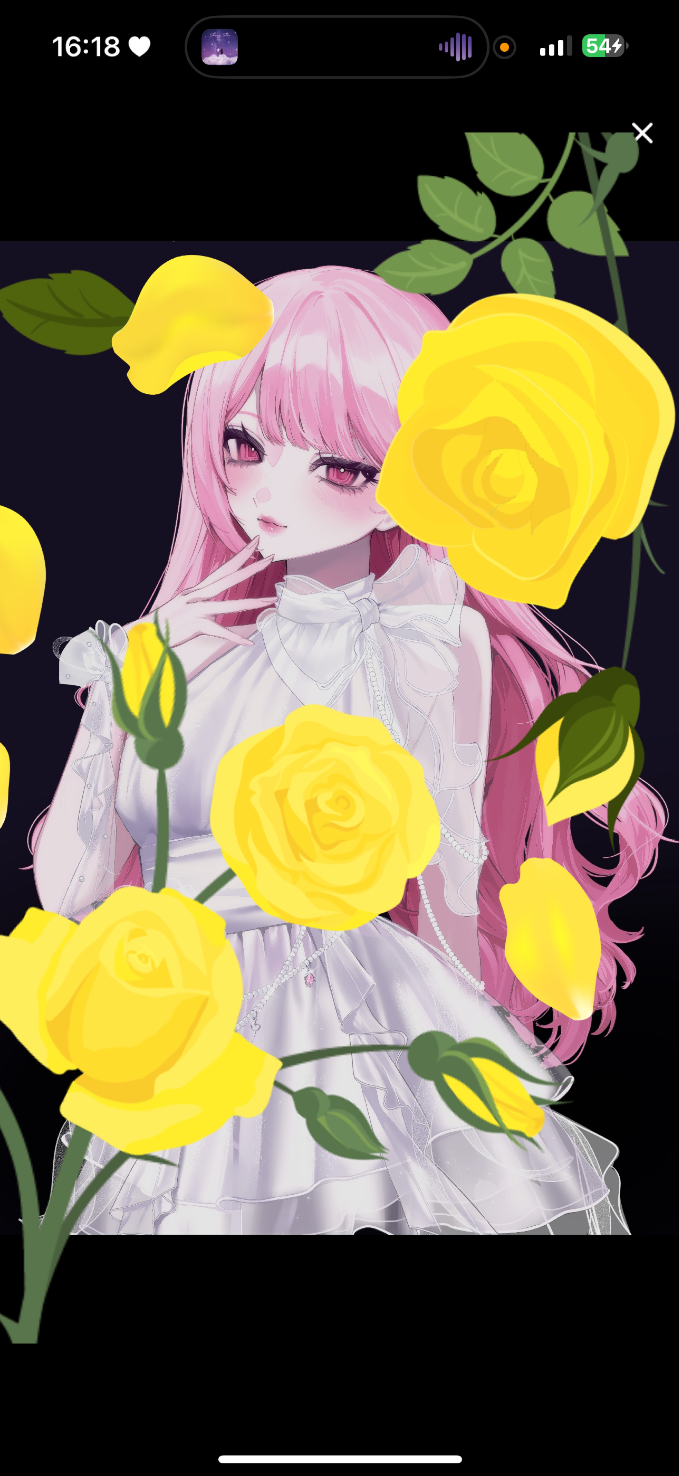 初潜〇┊雑談