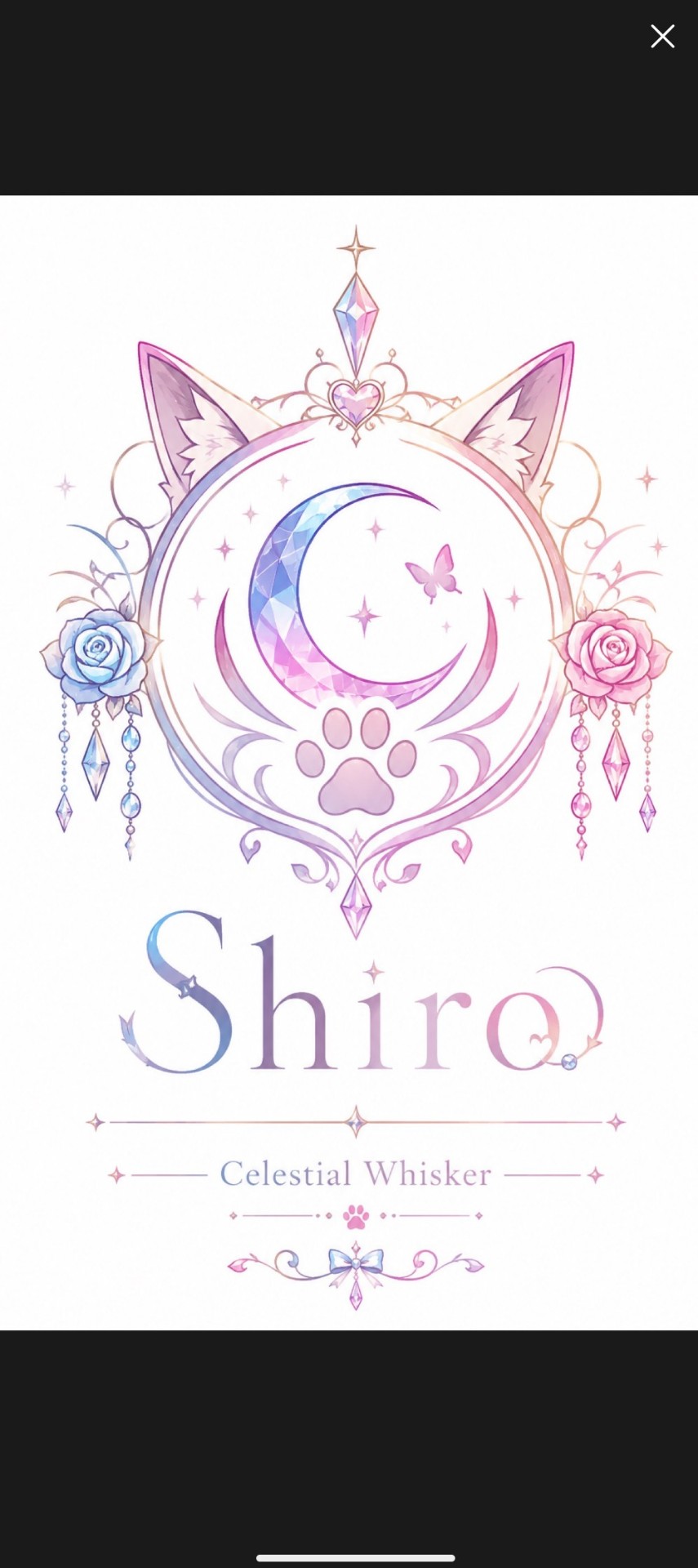 ひまだね𓂃 ◌‬𓋪‪