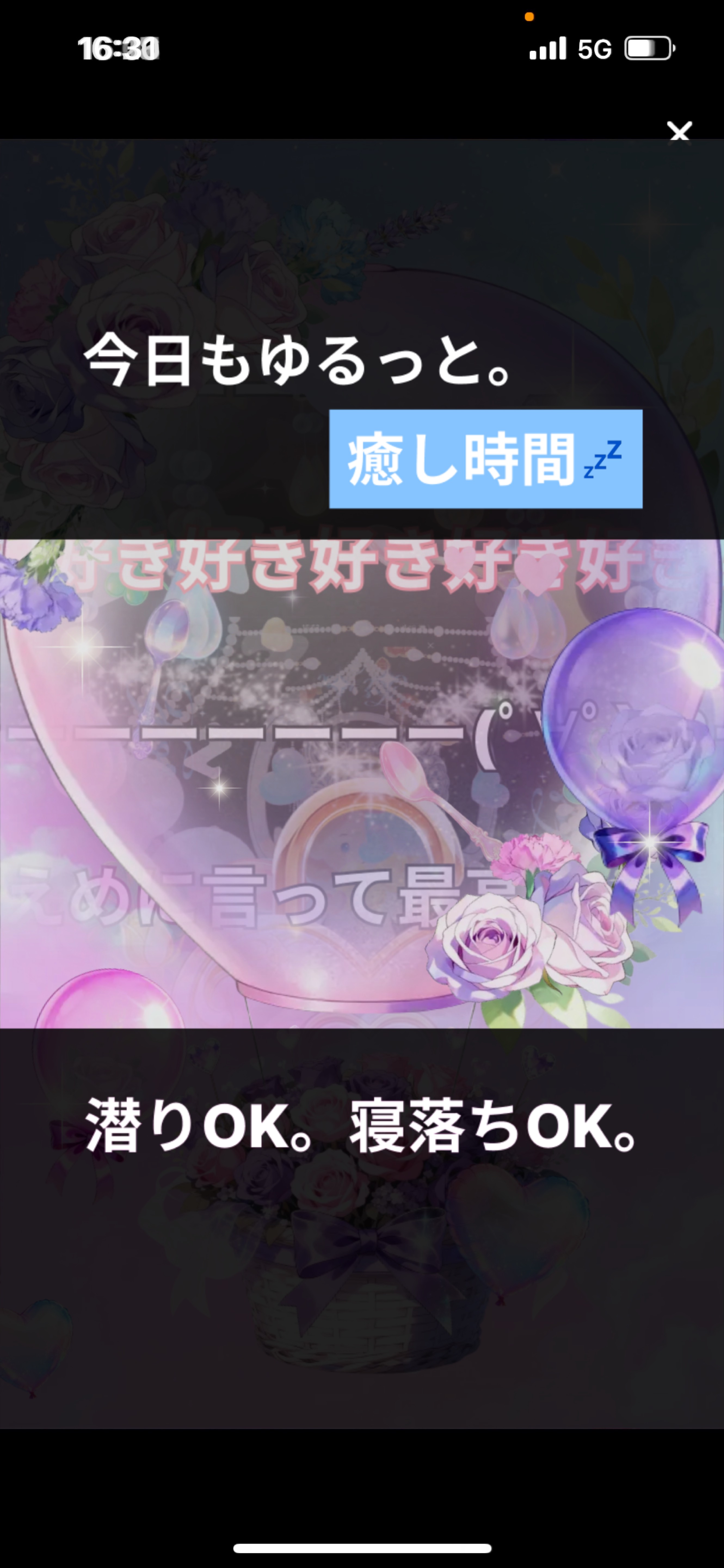 エフェ流星群みれます