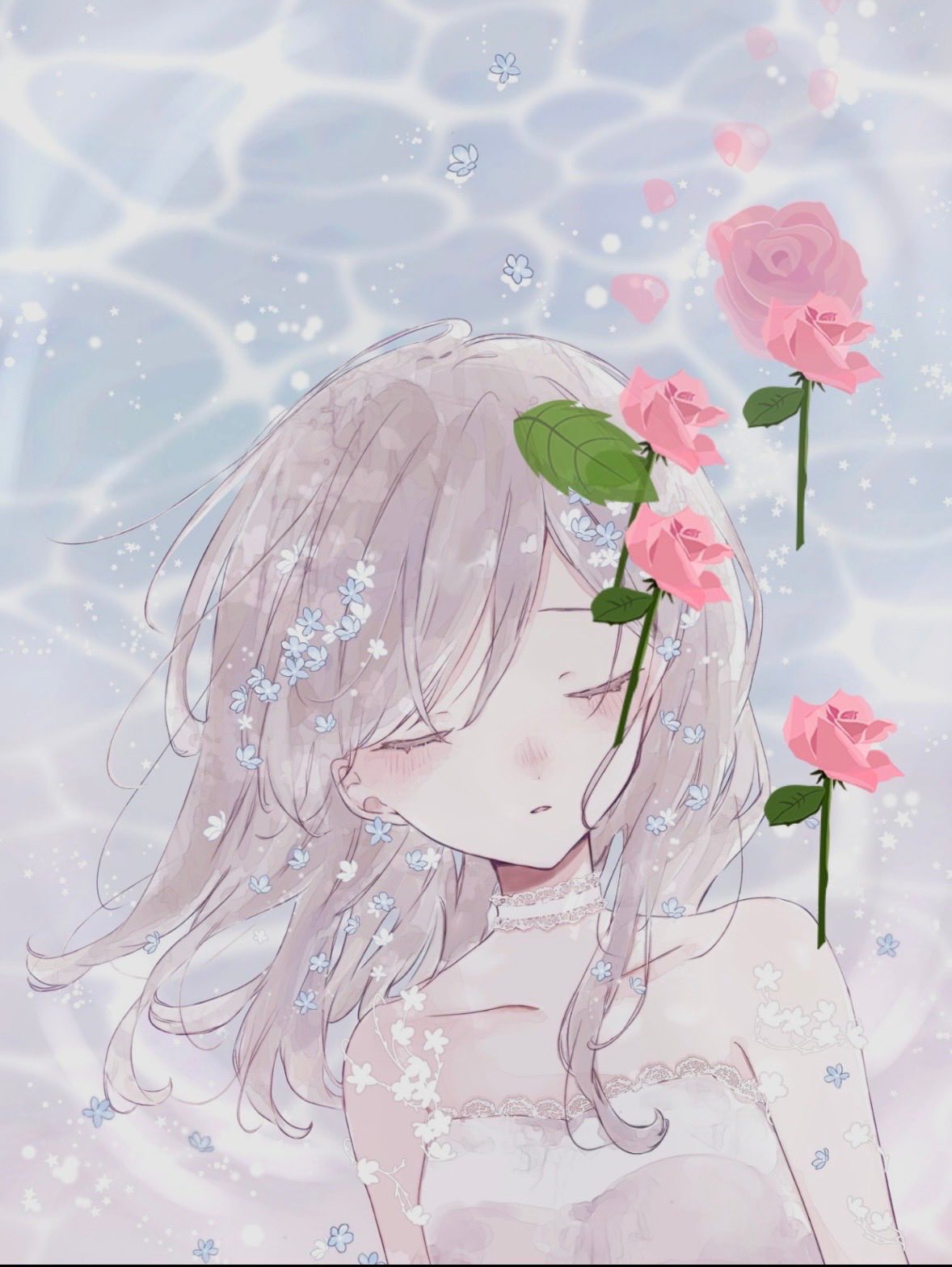 朝 を 彩 る 女 🪽