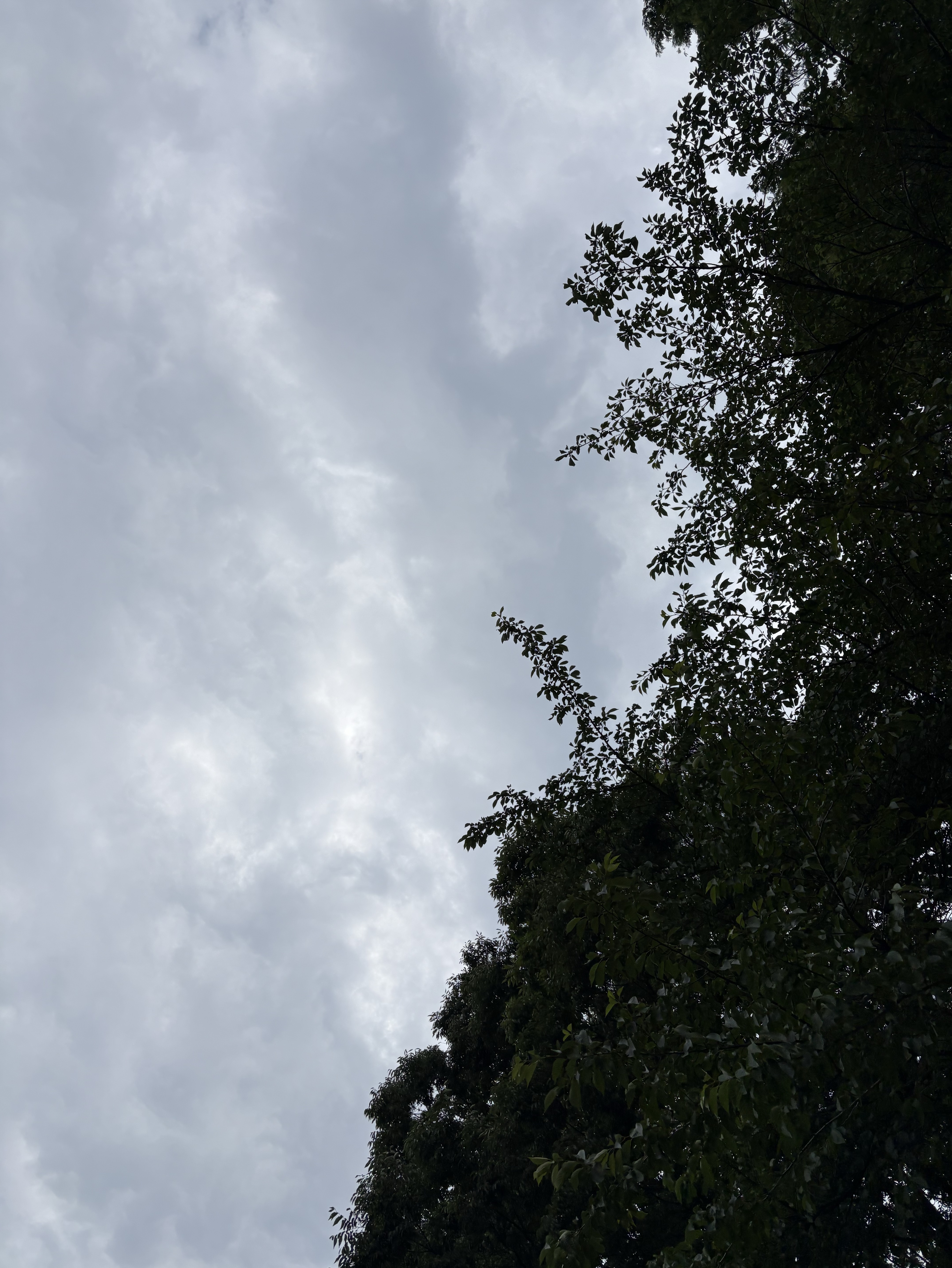 はなそ
