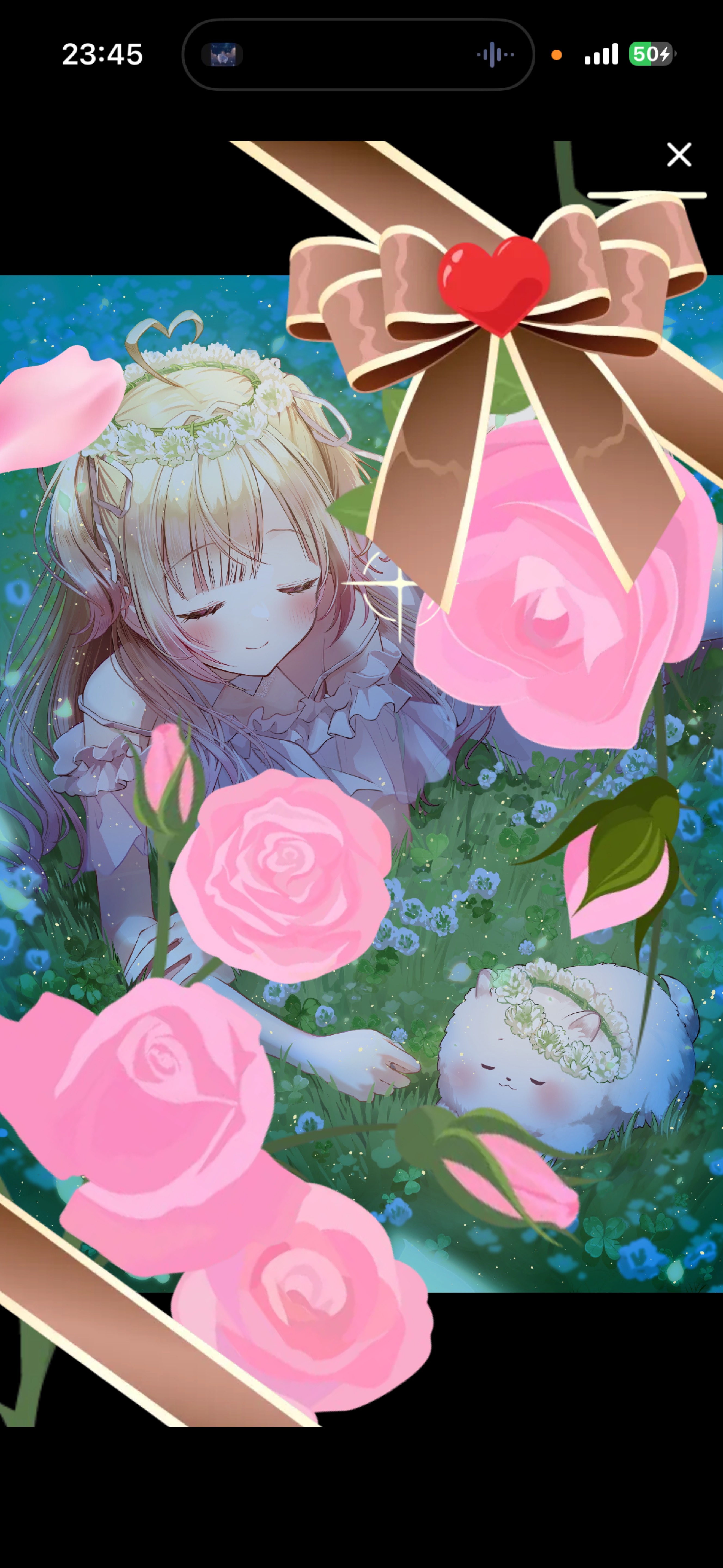 初潜寝◎おやすみなさい🐑💤