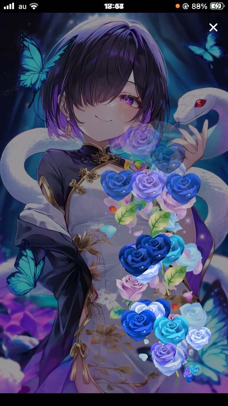 🌙347 トーリス！トーリス！