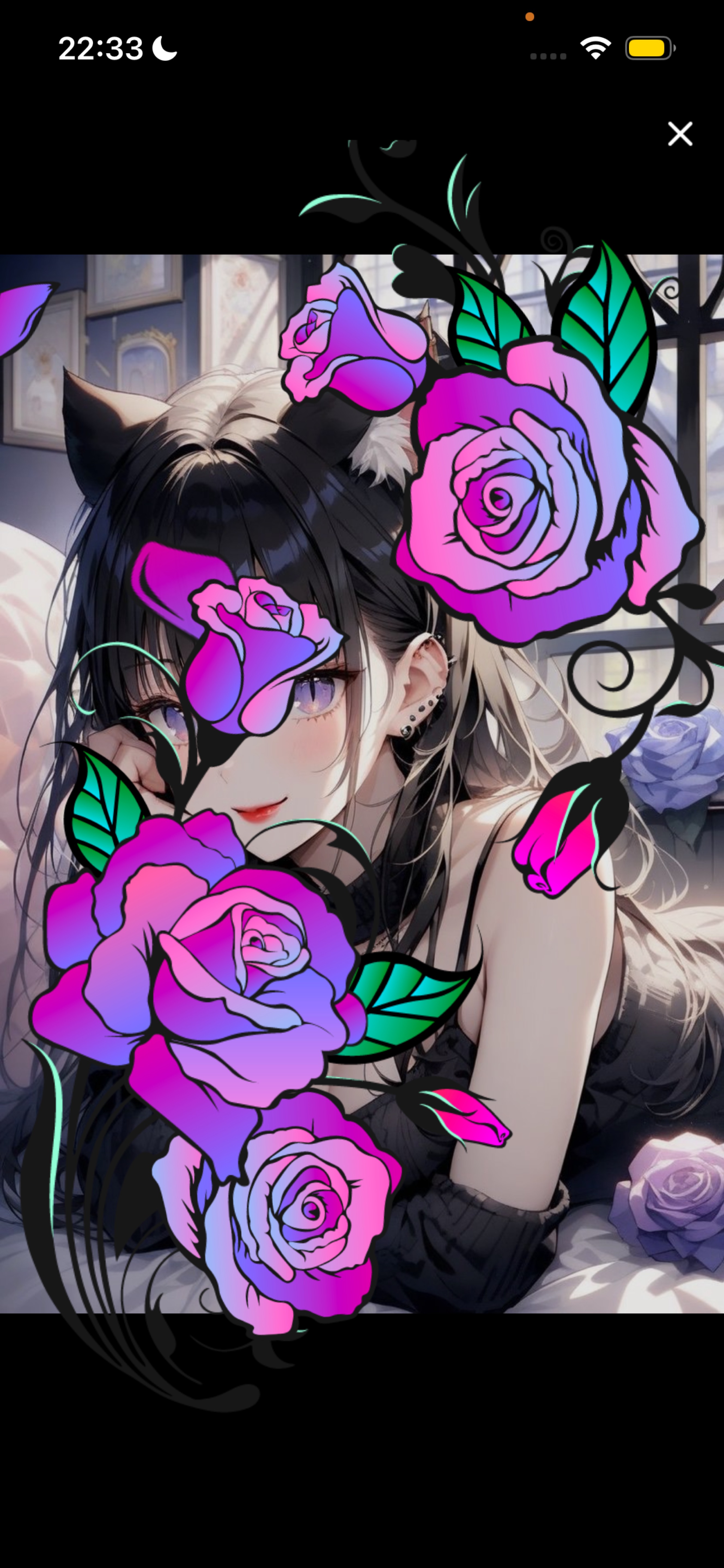 🐈⬛まったりするにゃ𓂃 𓈒𓏸◌