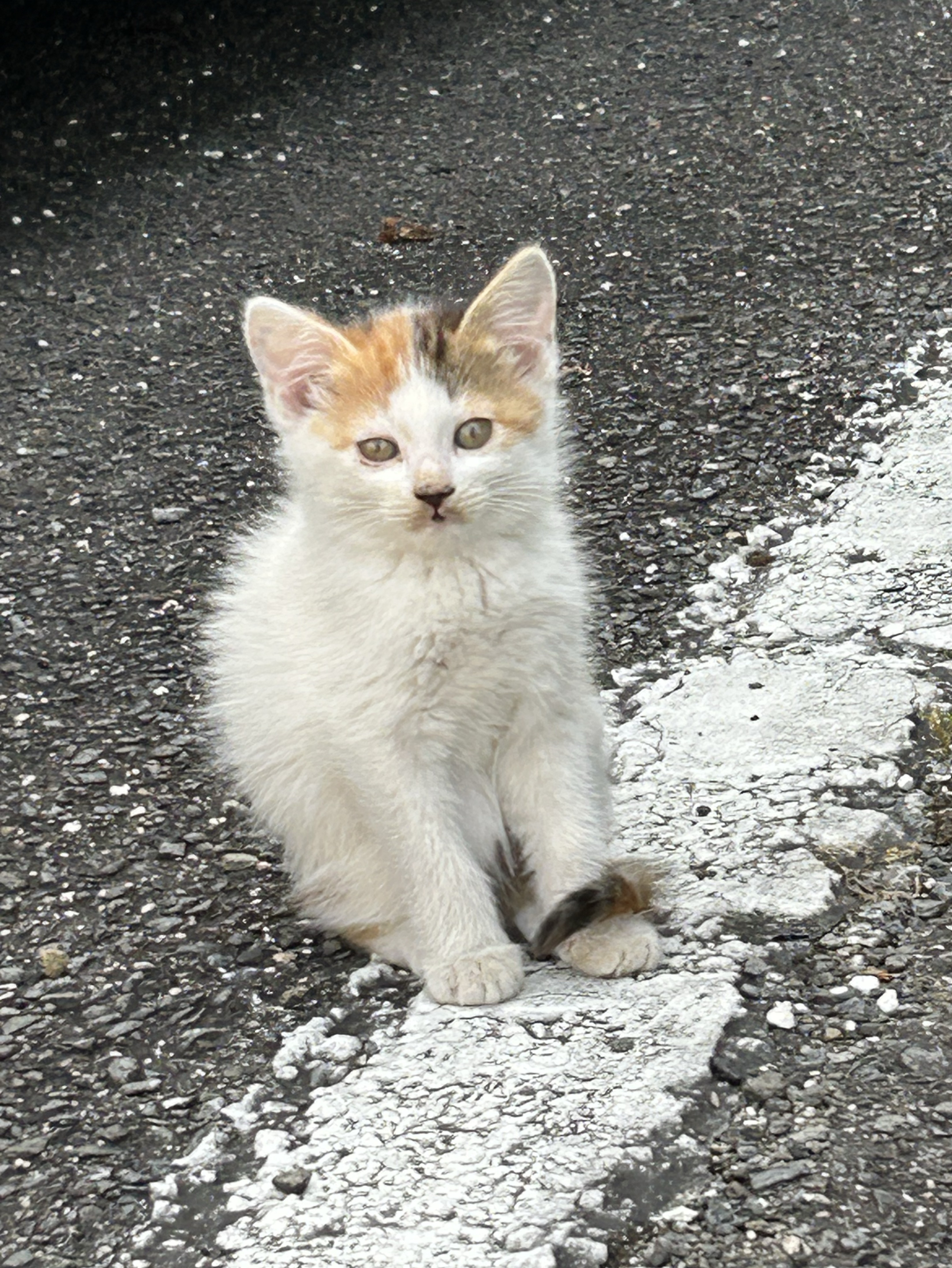 まったり