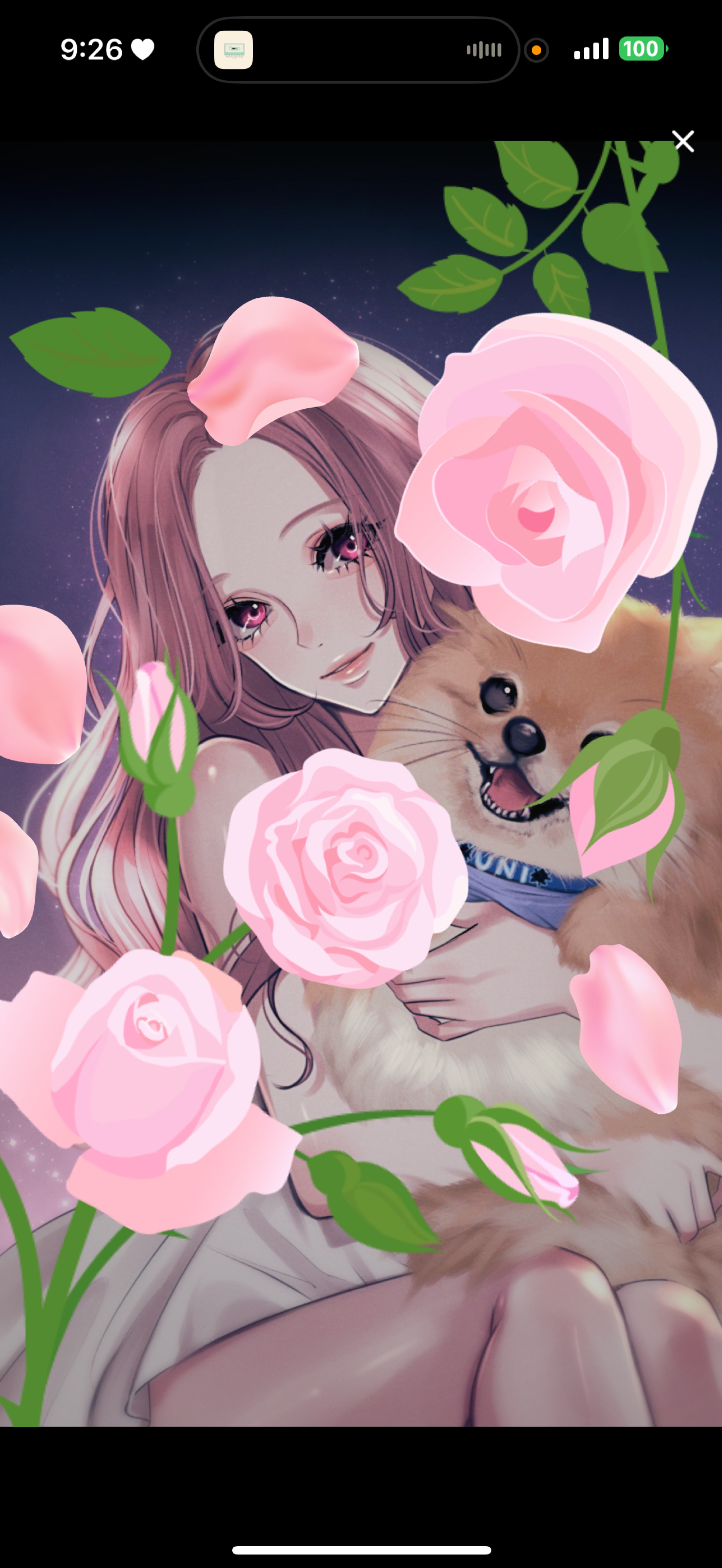 -11:00┊雑談