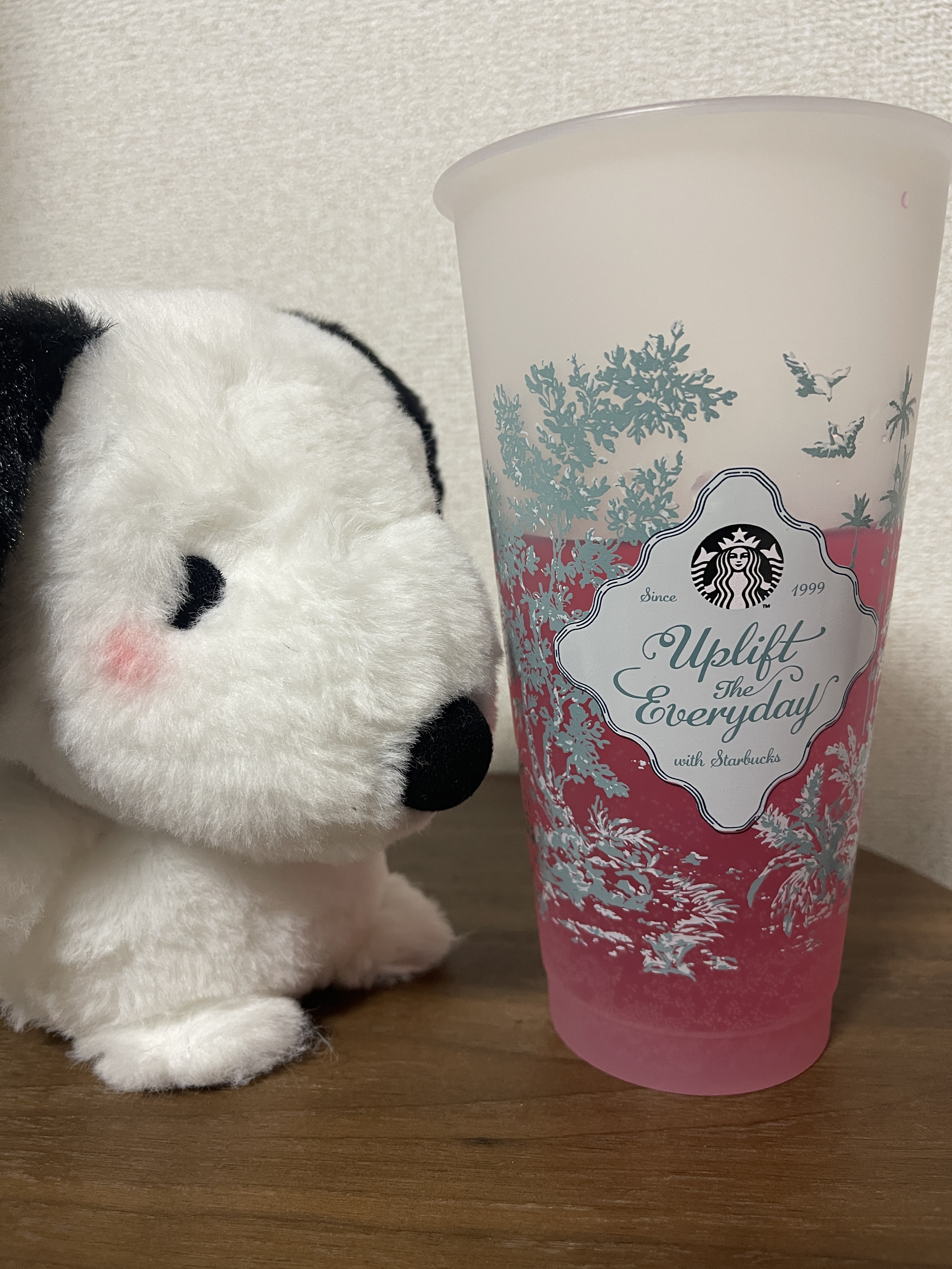 〜19:30なごなご𐔌˙.