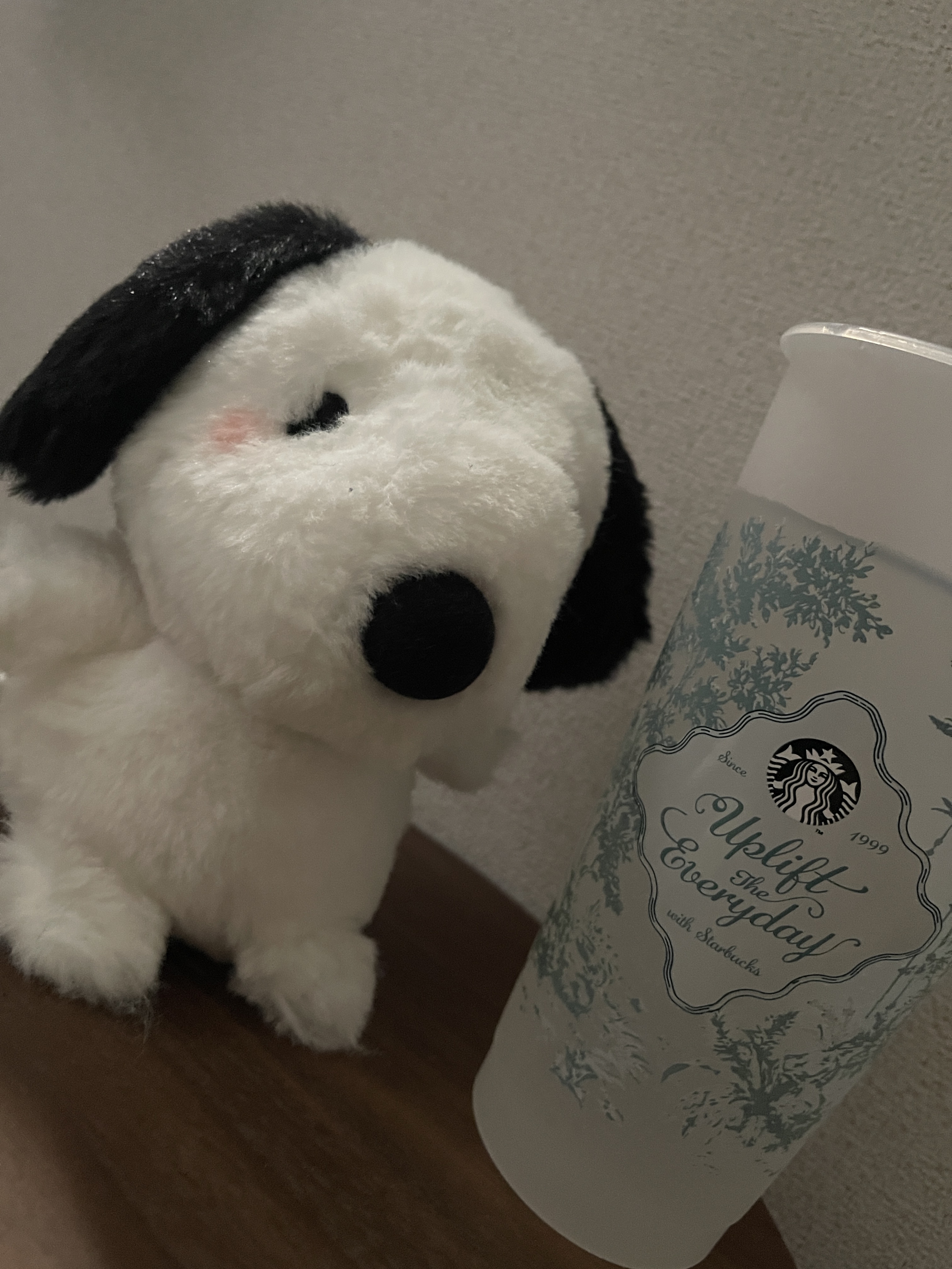 〜19:30なごなご𐔌˙.