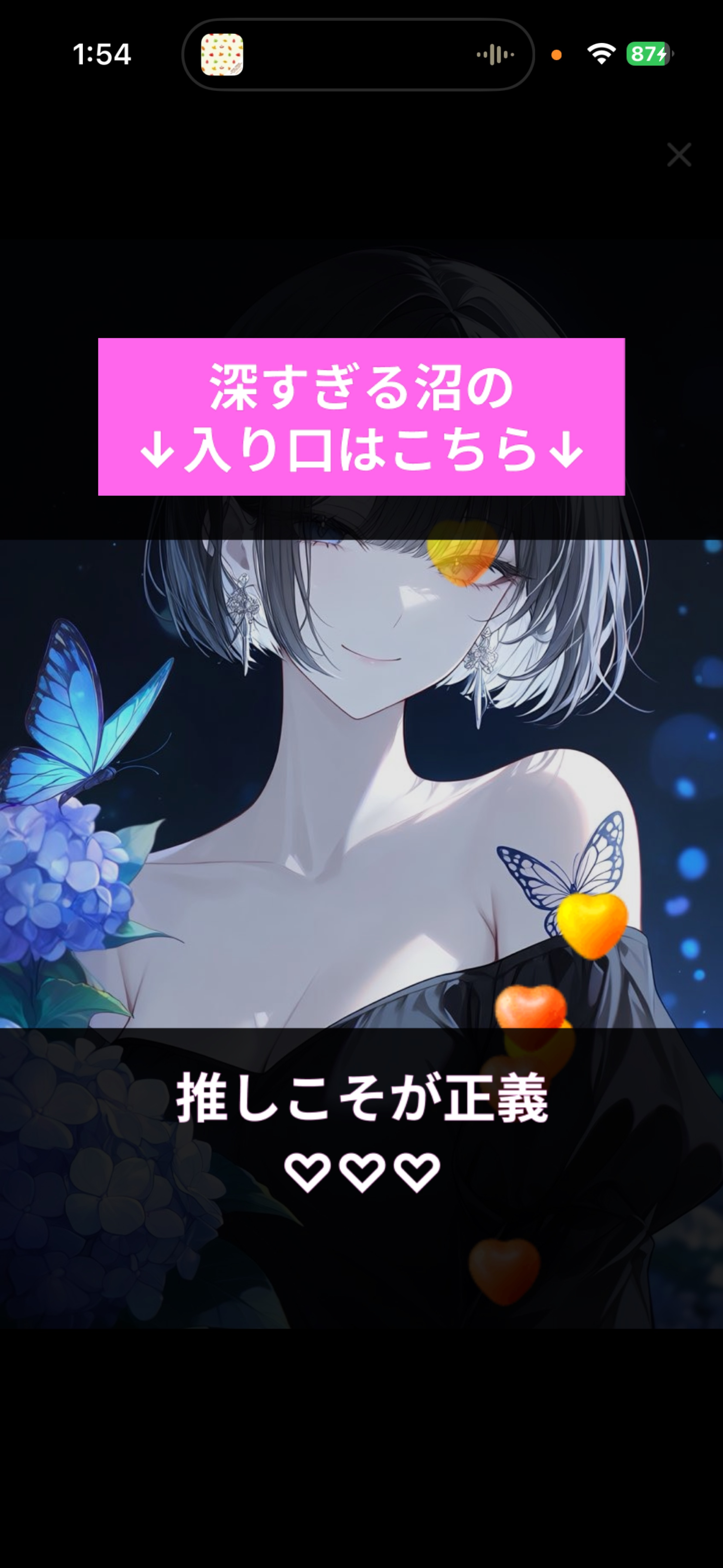 夜のひと笑い ’𖥦' ￤初潜◎