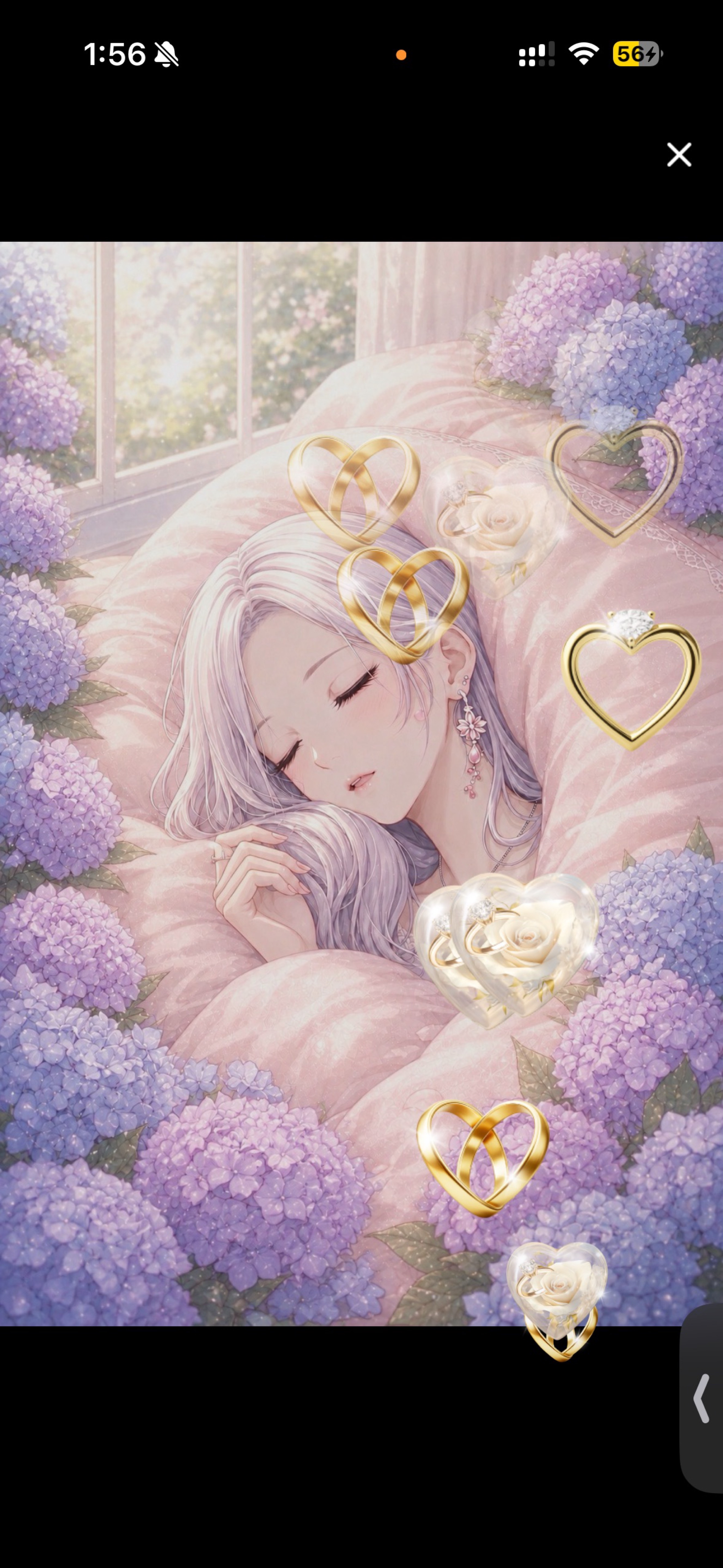 こんばんは(  ˊoˋ ) ｡ﾟ