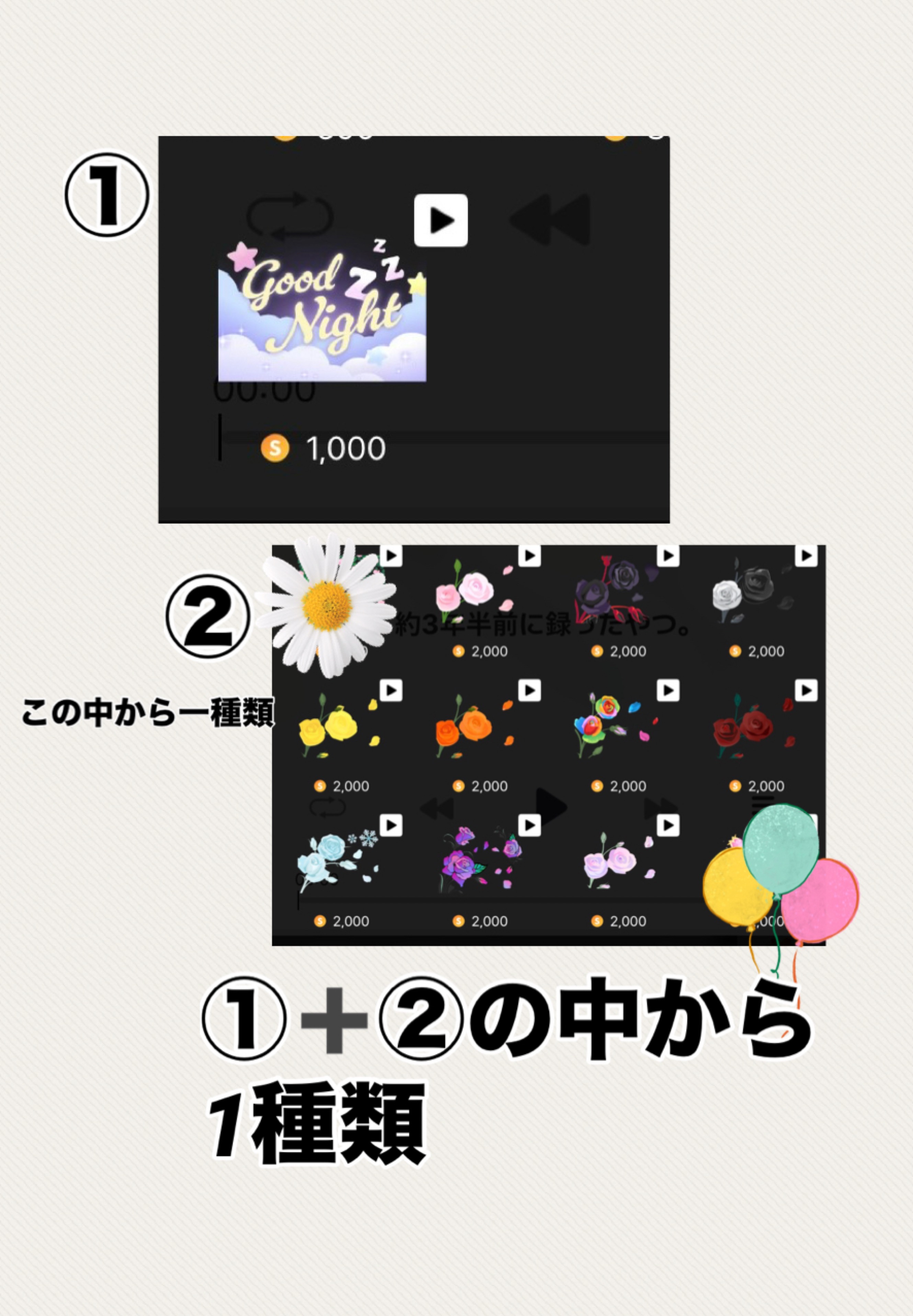 にゃん枠です🐈‍⬛🎀