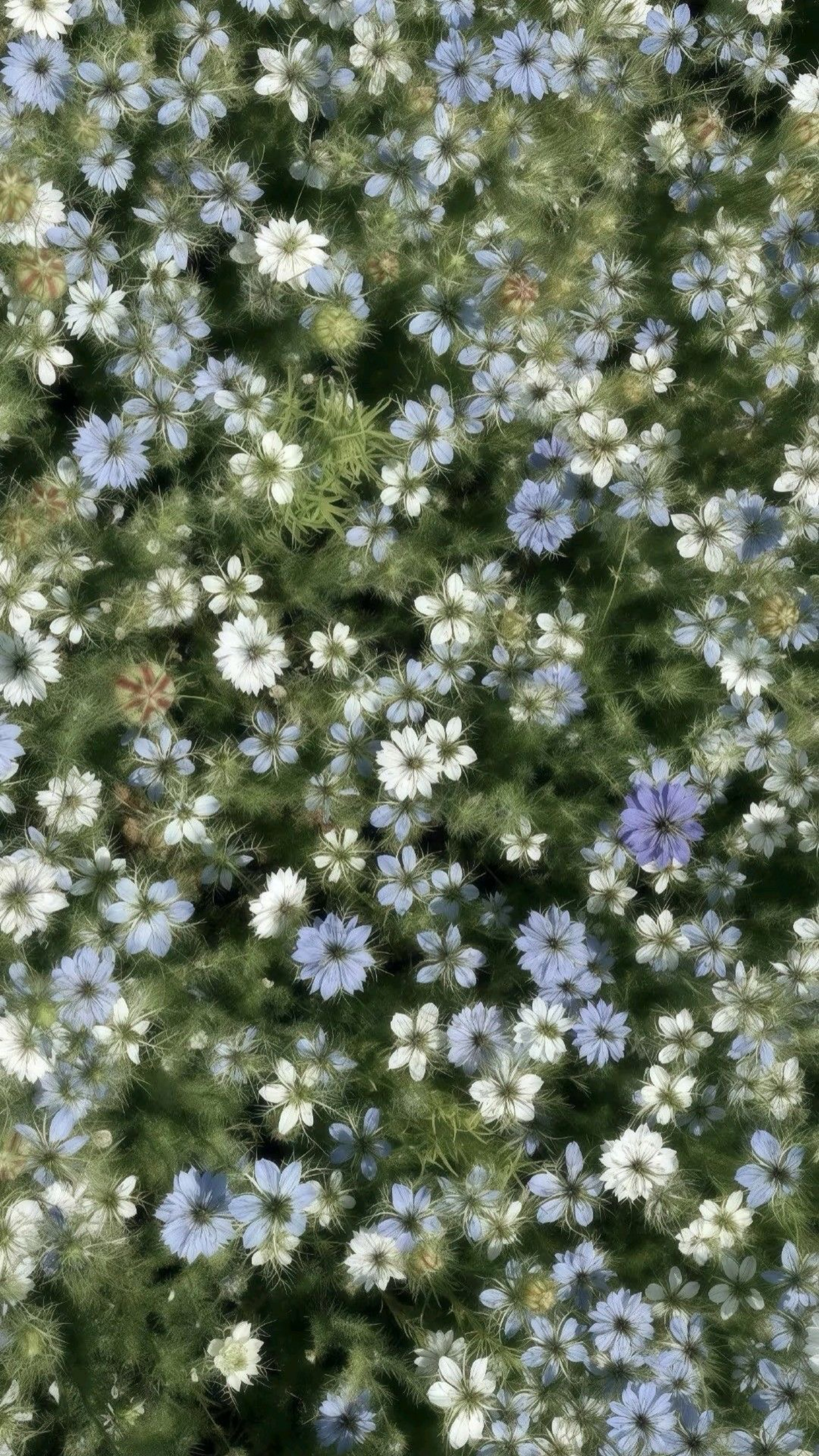 おはよう暇