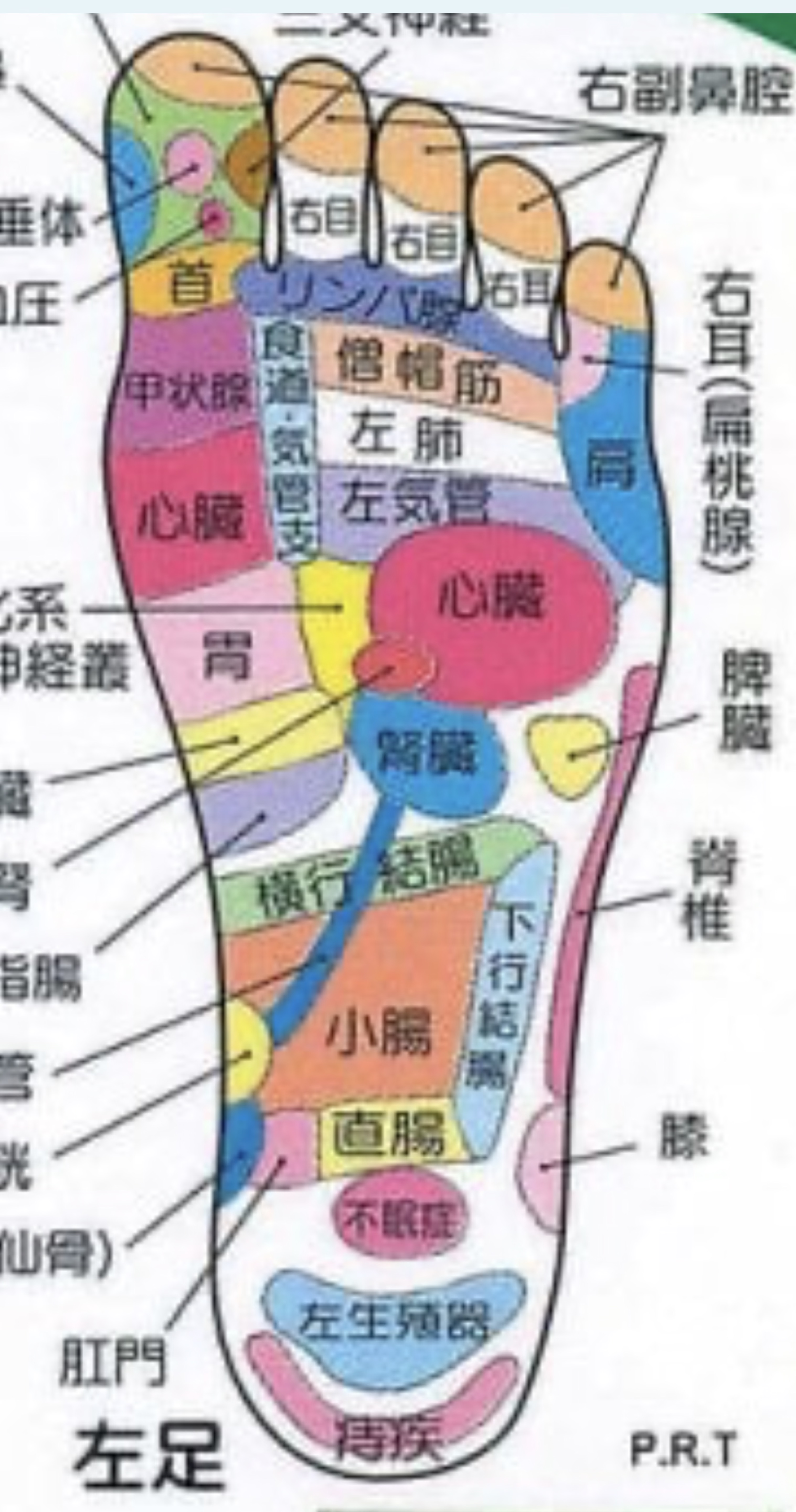 ẗ̤⚓︎ おはよ定時枠