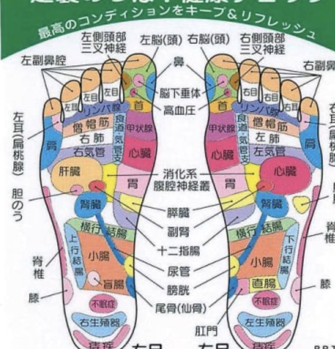 ẗ̤⚓︎ おはよ定時枠