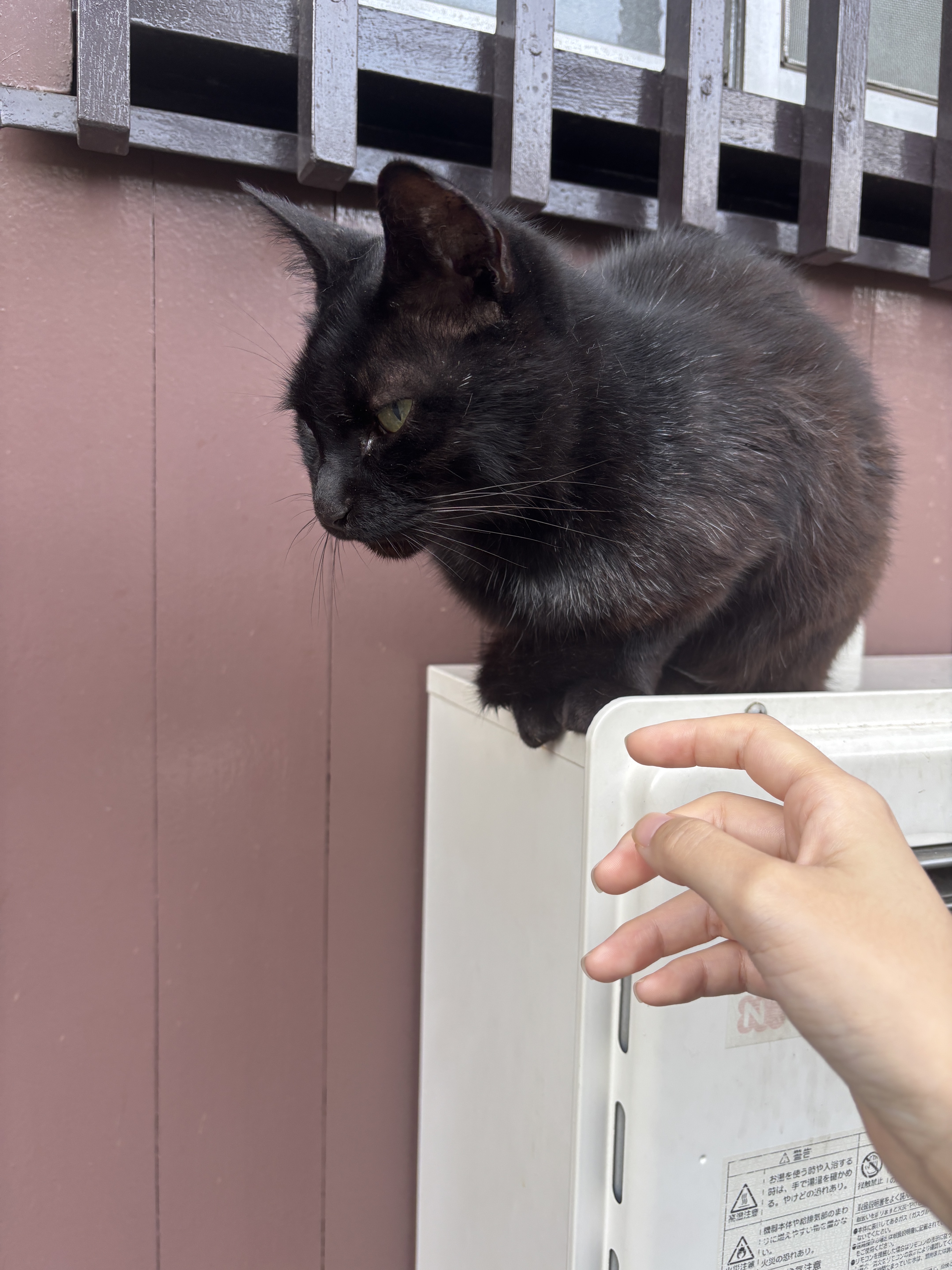 ただまったりお話する枠