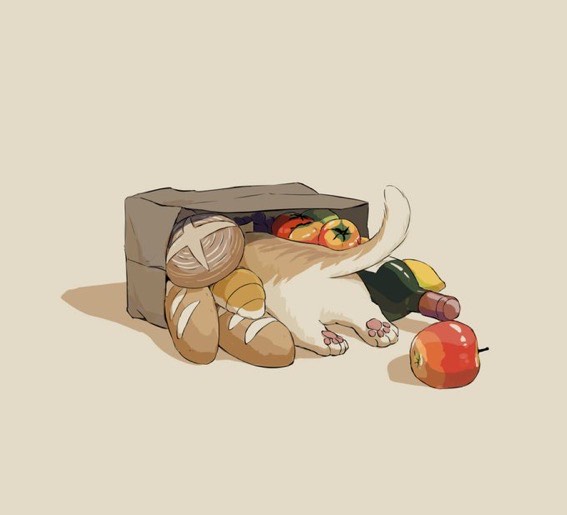 華華金