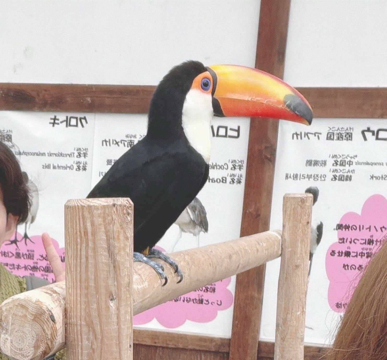初寝潜◎‪貴方は何℃？🌡