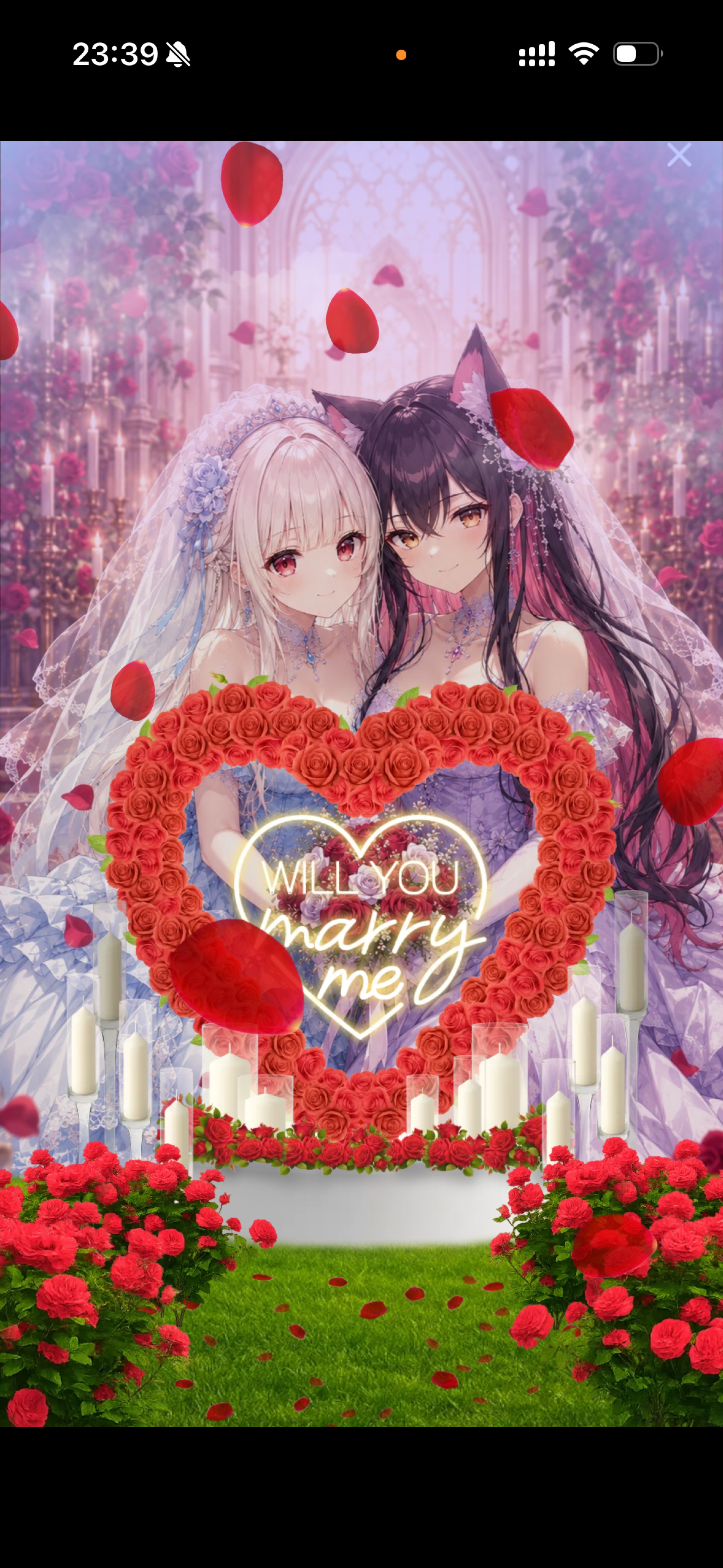 うたきいて