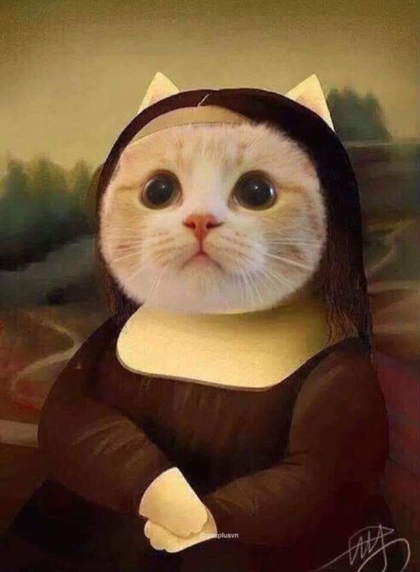 暇なのだ