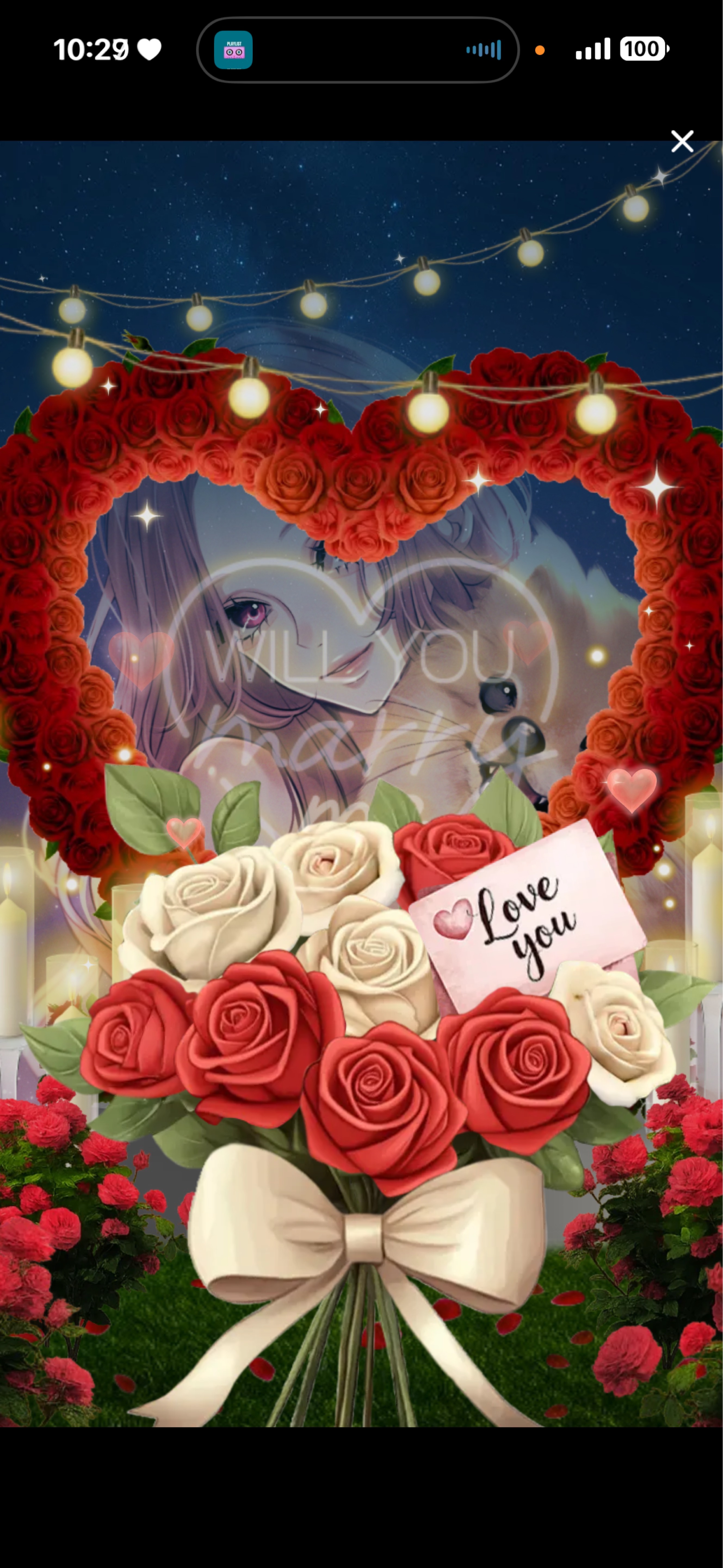 -11:30┊雑談
