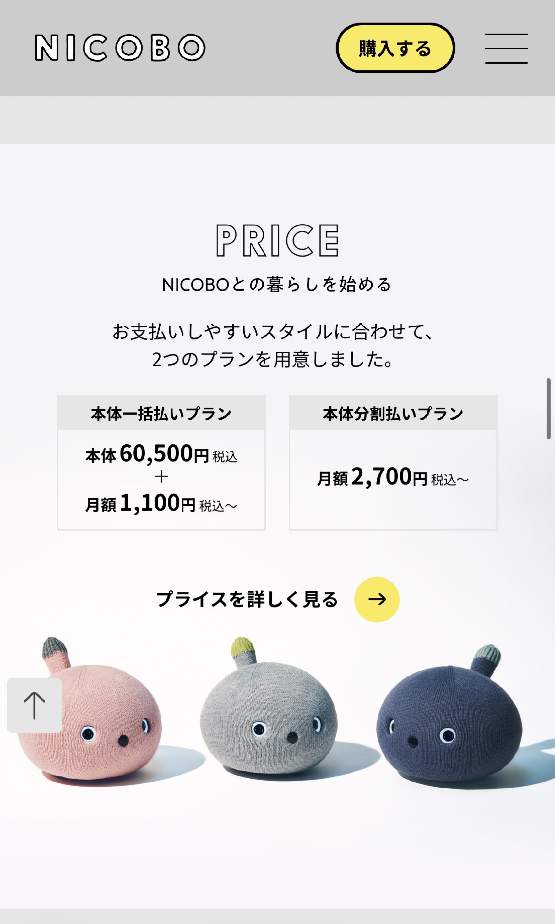 夜のエンタメちゃん♡