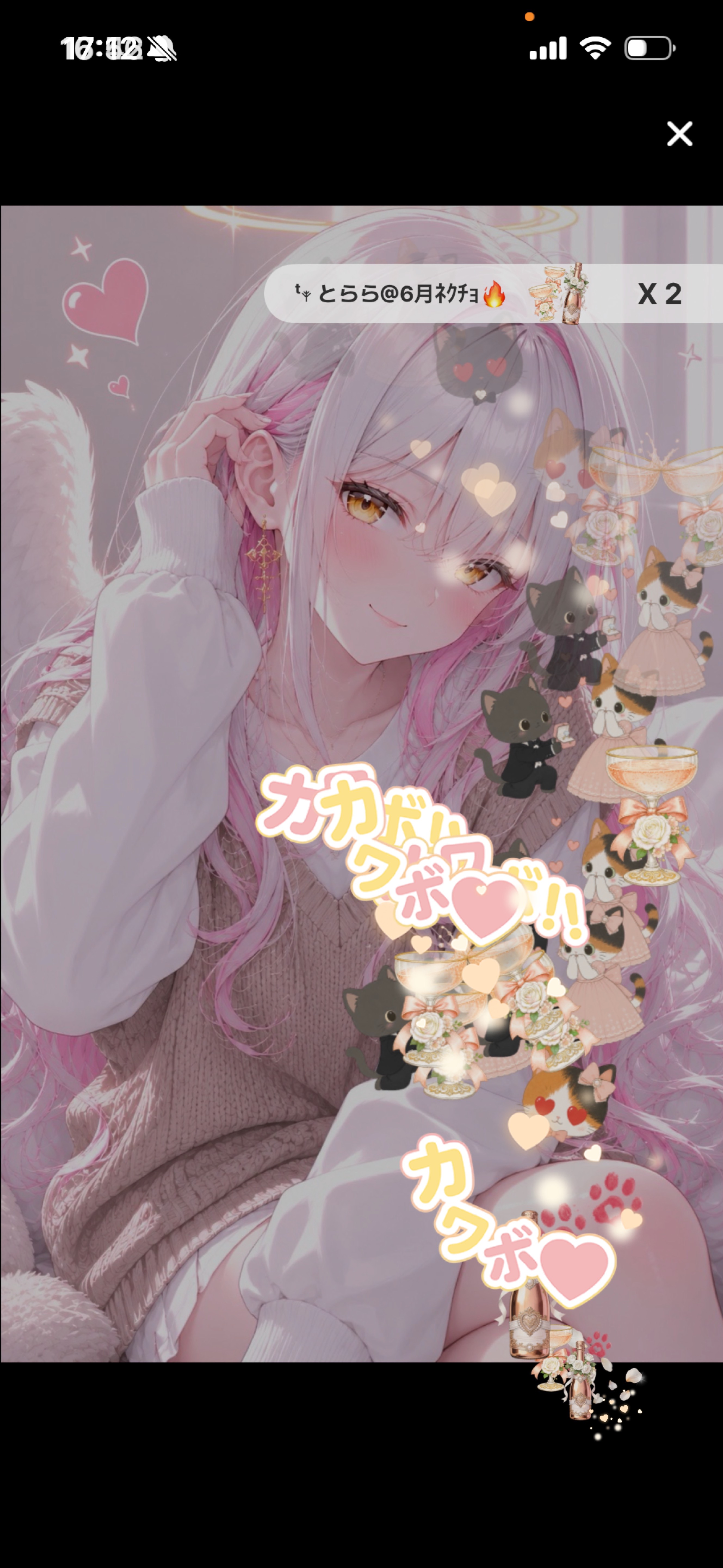 みんなおいで！ 初見さん( ˙꒳​˙◎）