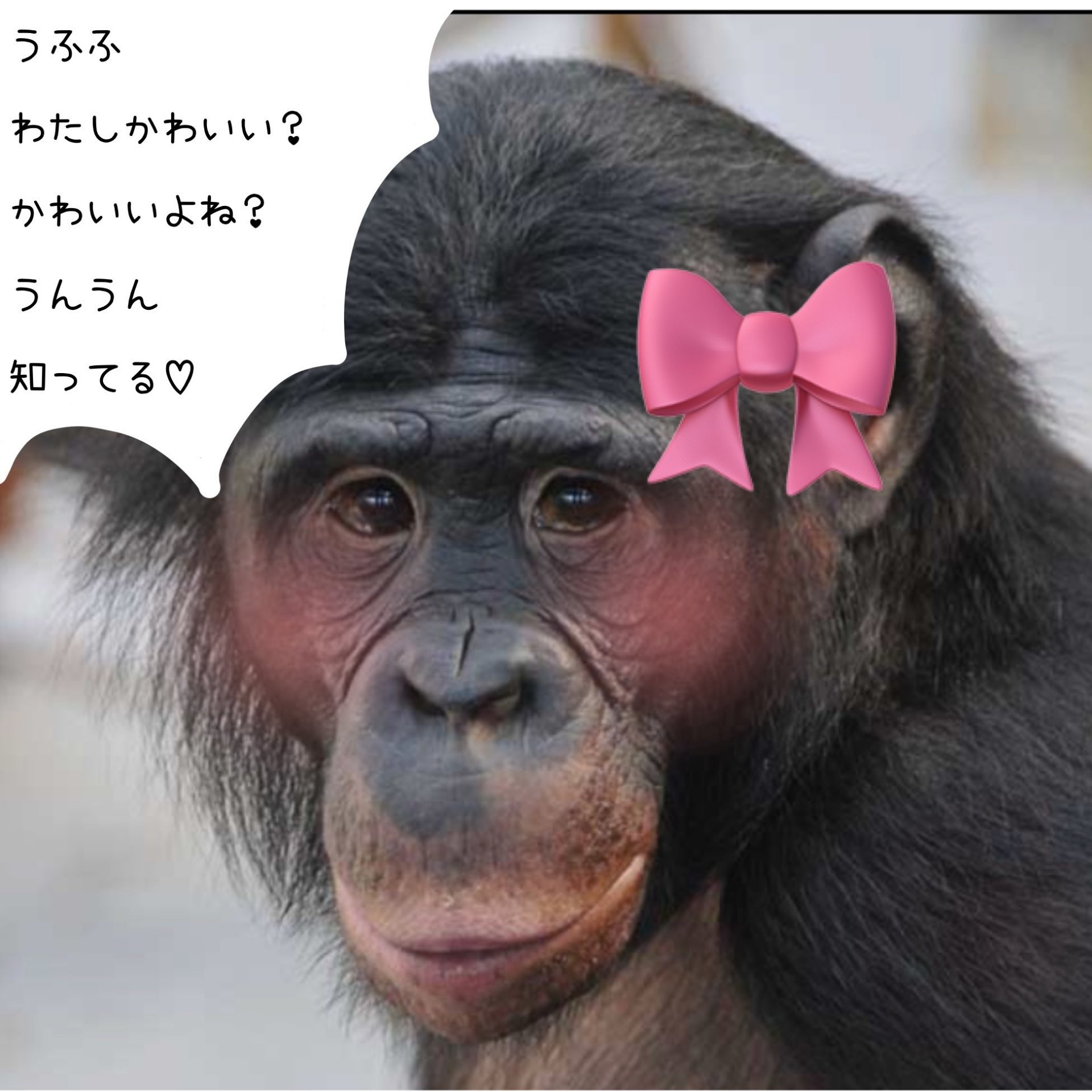 初⭕️すきなことすきなだけ