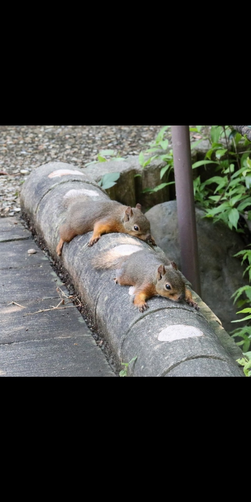 お疲れ様😊はなそう