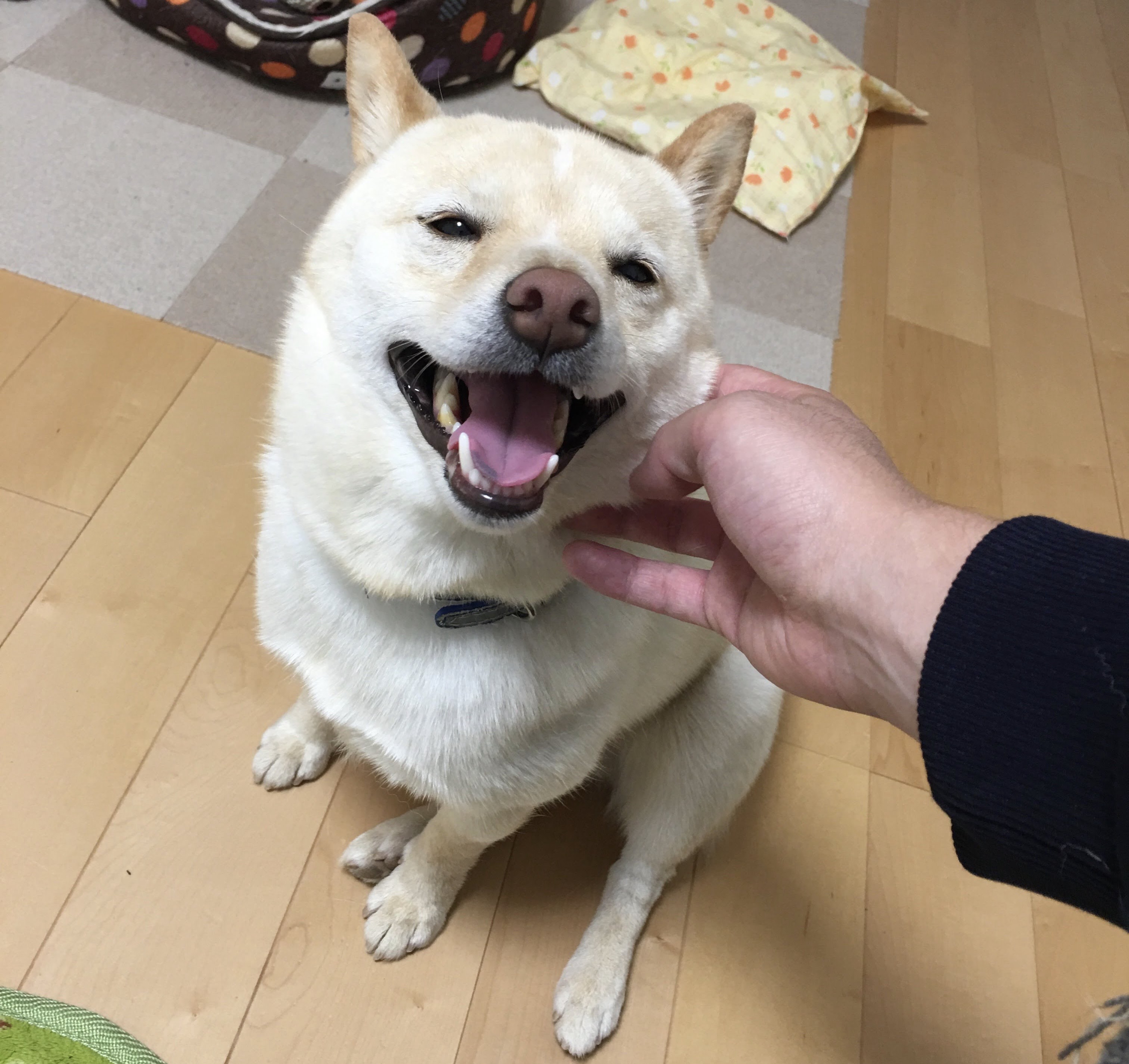 お話しましょ