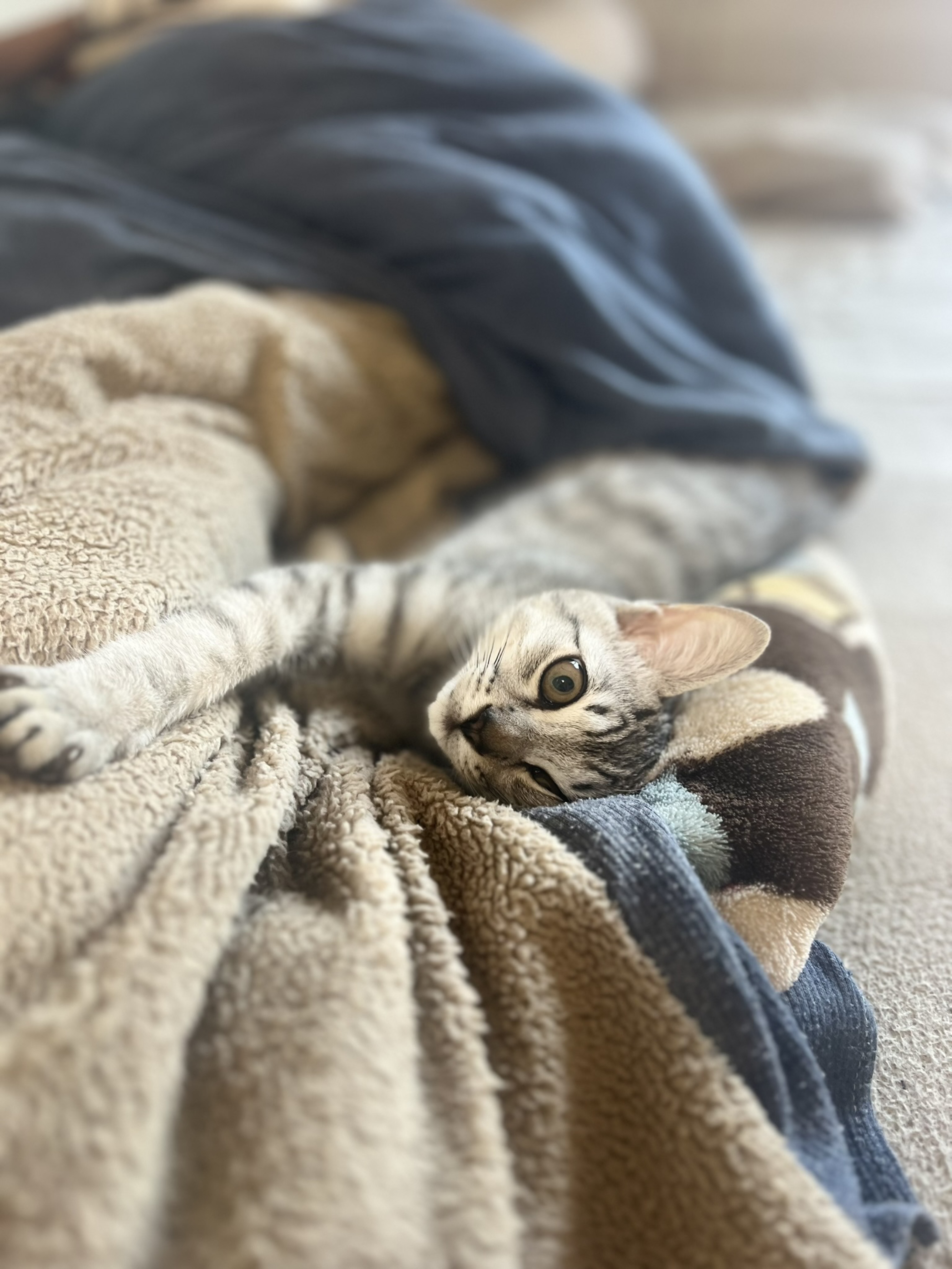 暇つぶし👀