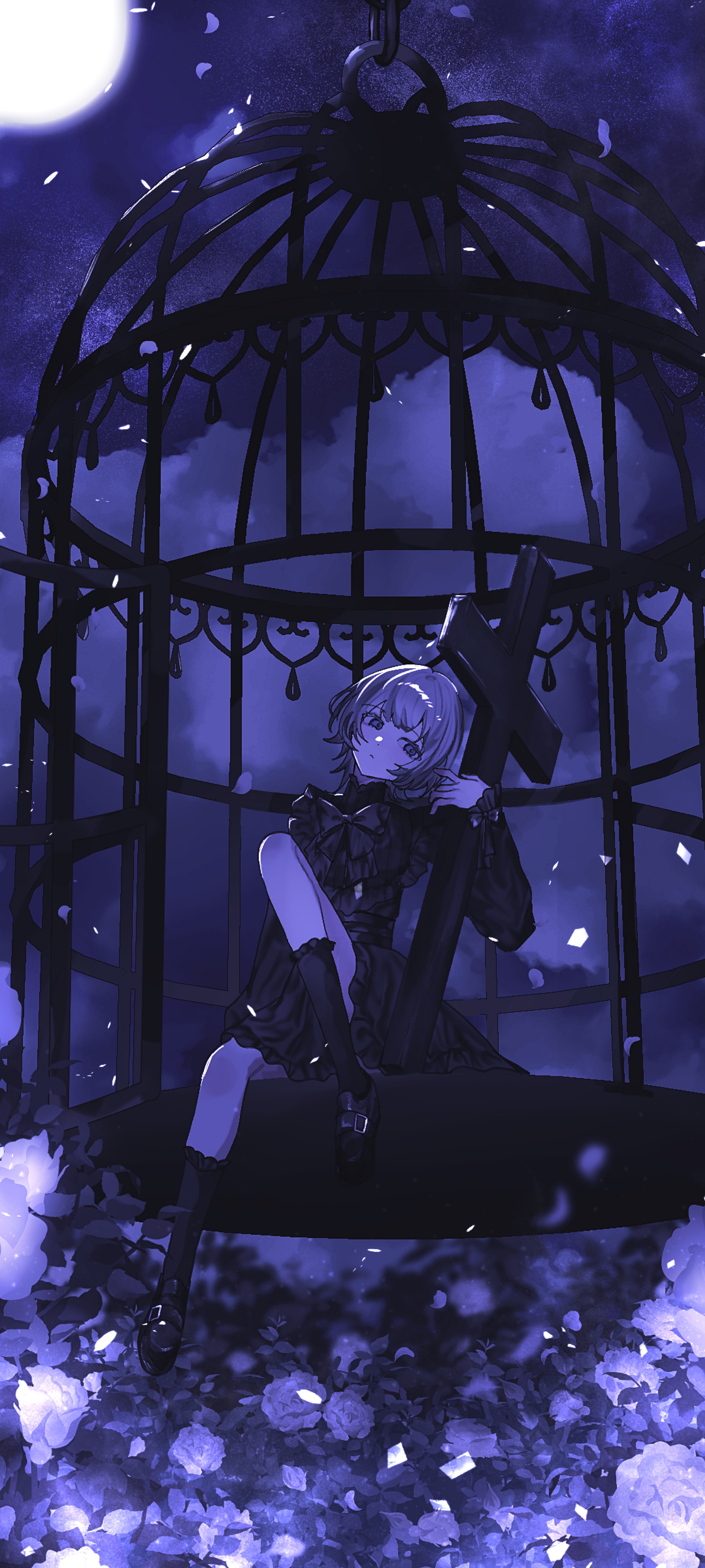 ︎︎︎︎ ♔