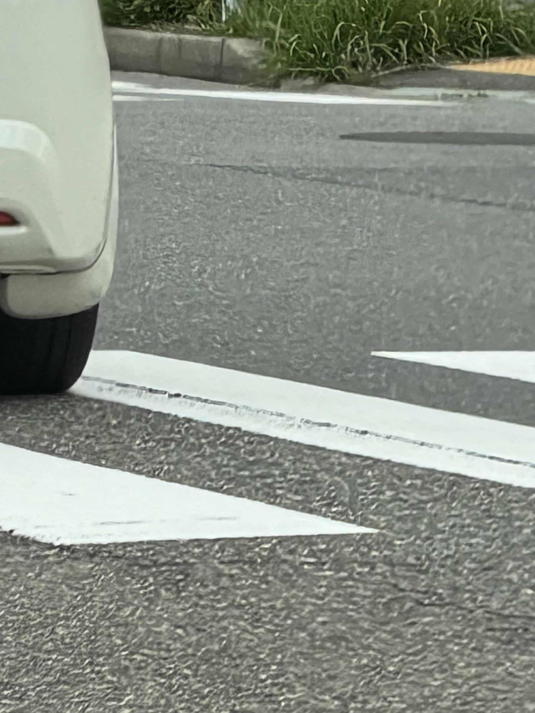 話し相手がほしいです。
