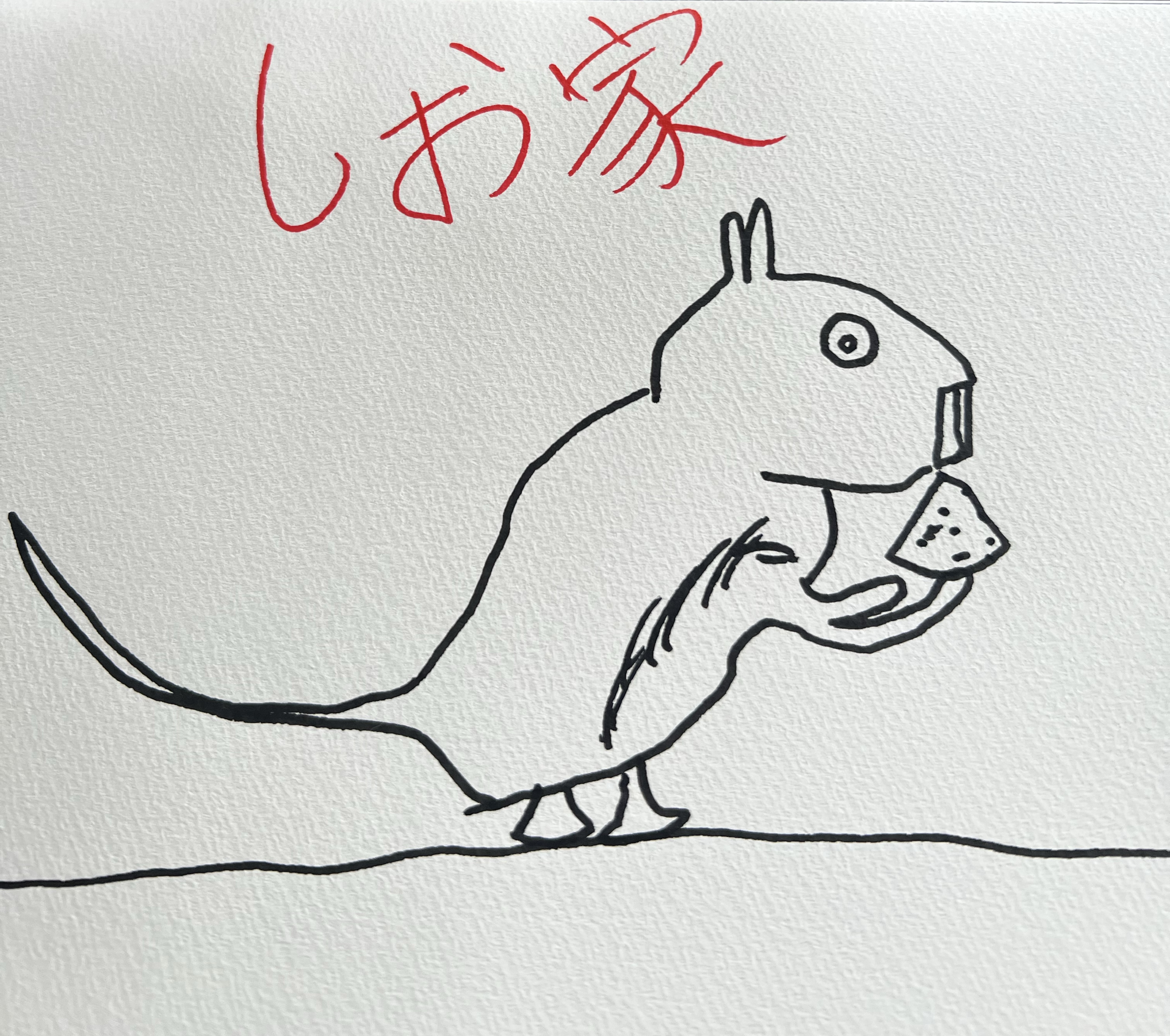 24時間配信④枠目
