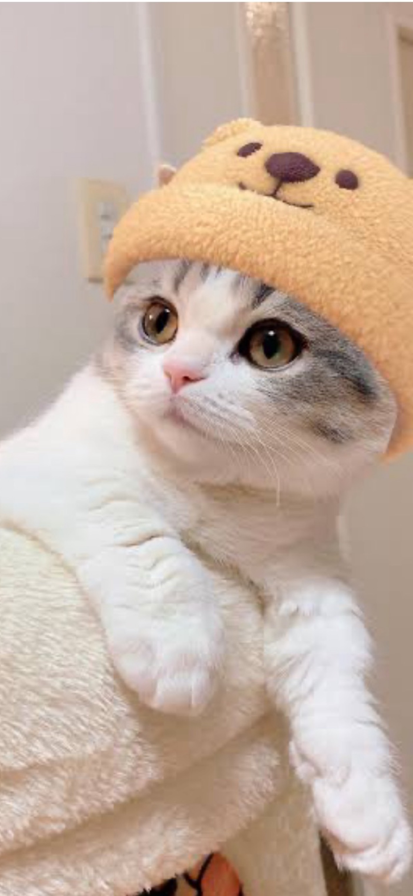 お話しましょ🎵