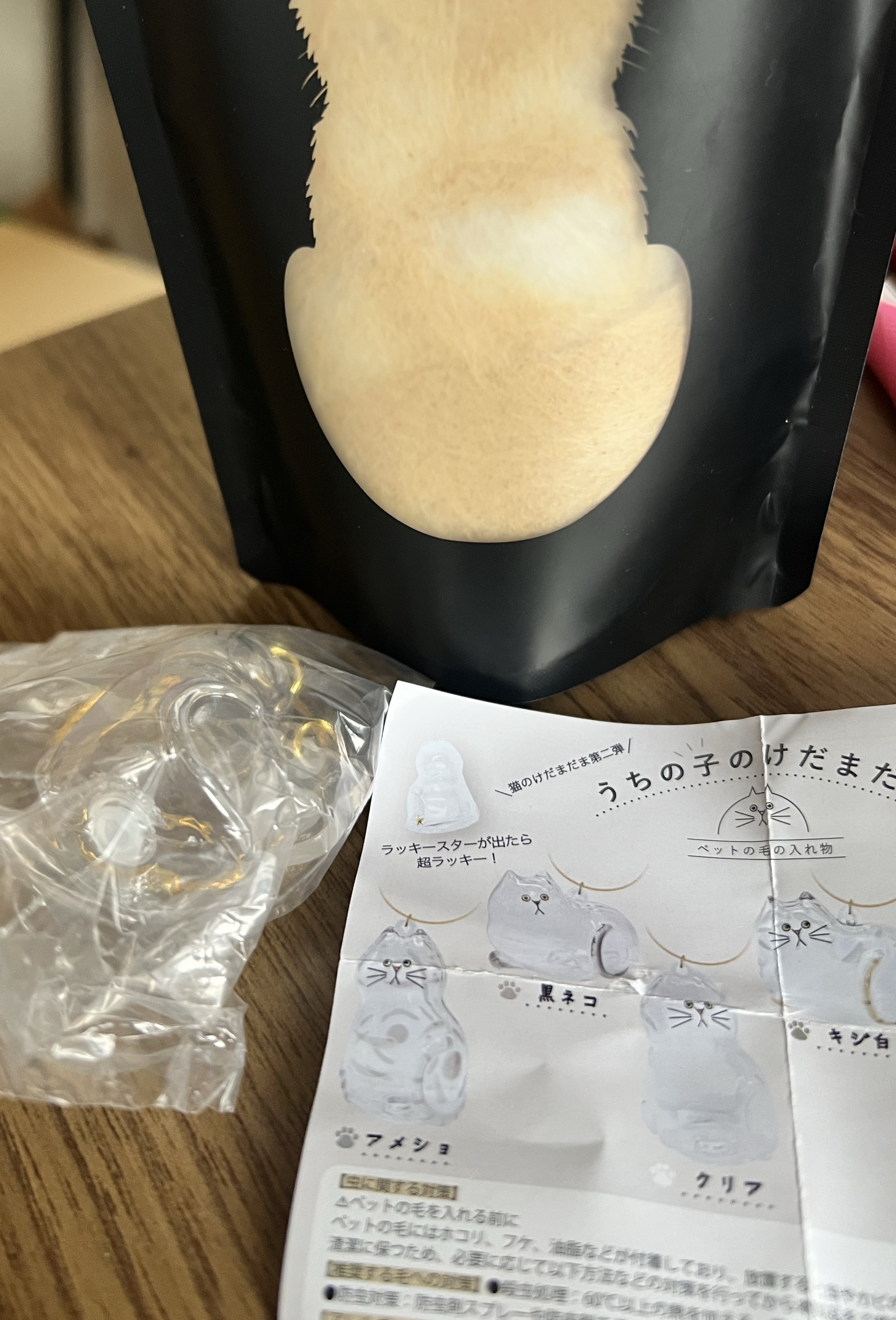 24時間配信⑤枠目